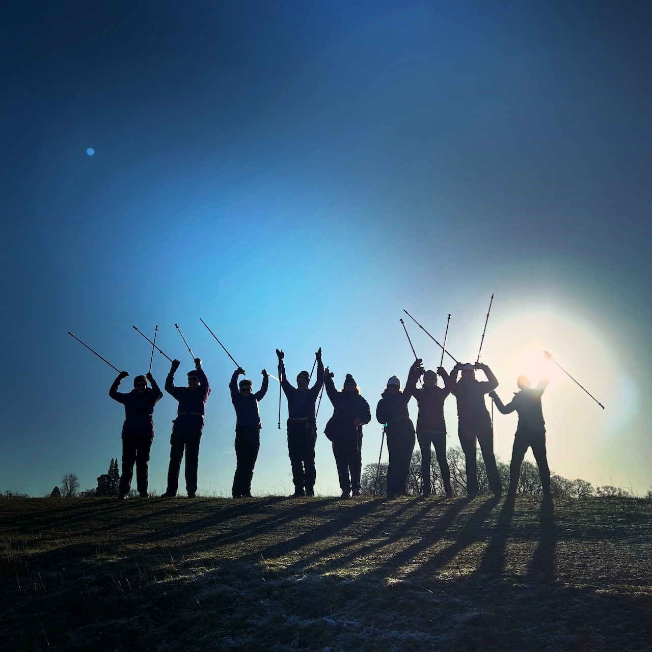 'Wandering Woodland', Walk for Wellness with Emma & Sue, Aspley Woods, 90mins