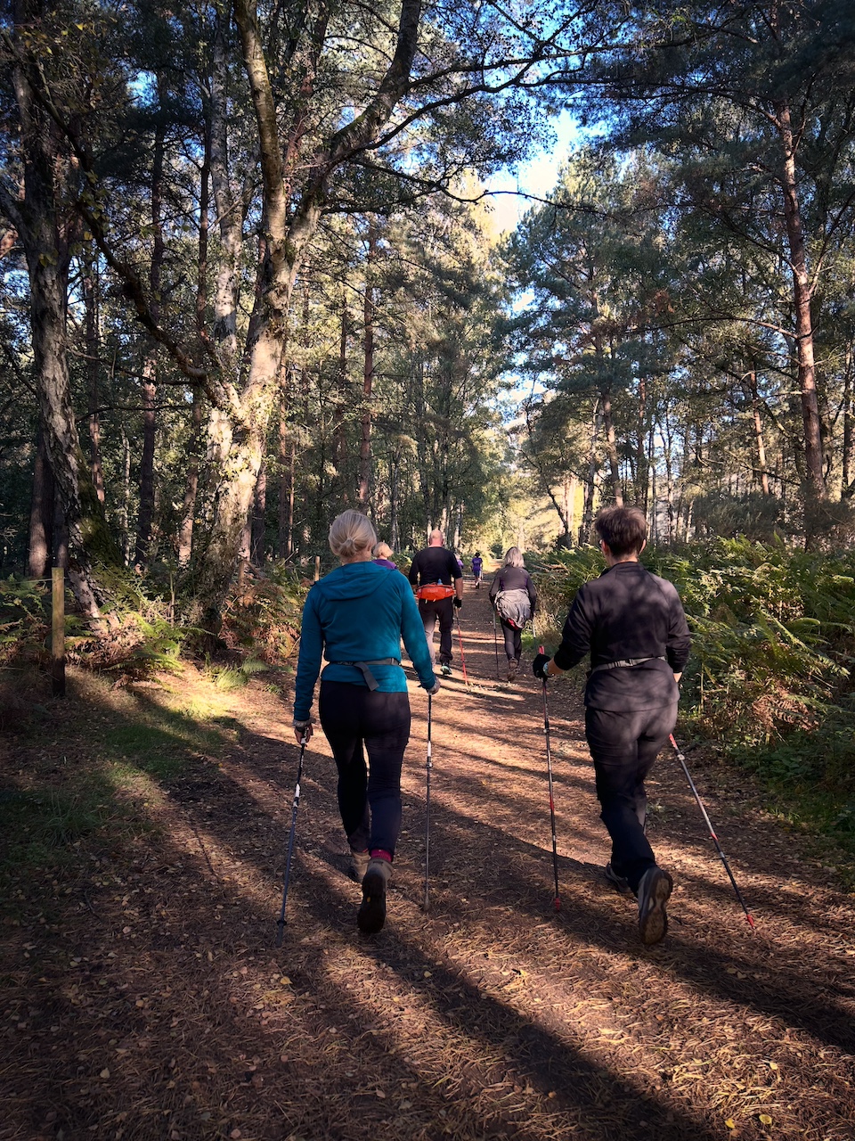 'Wandering Woodland', Walk for Wellness with Emma & Sue, Aspley Woods, 90mins