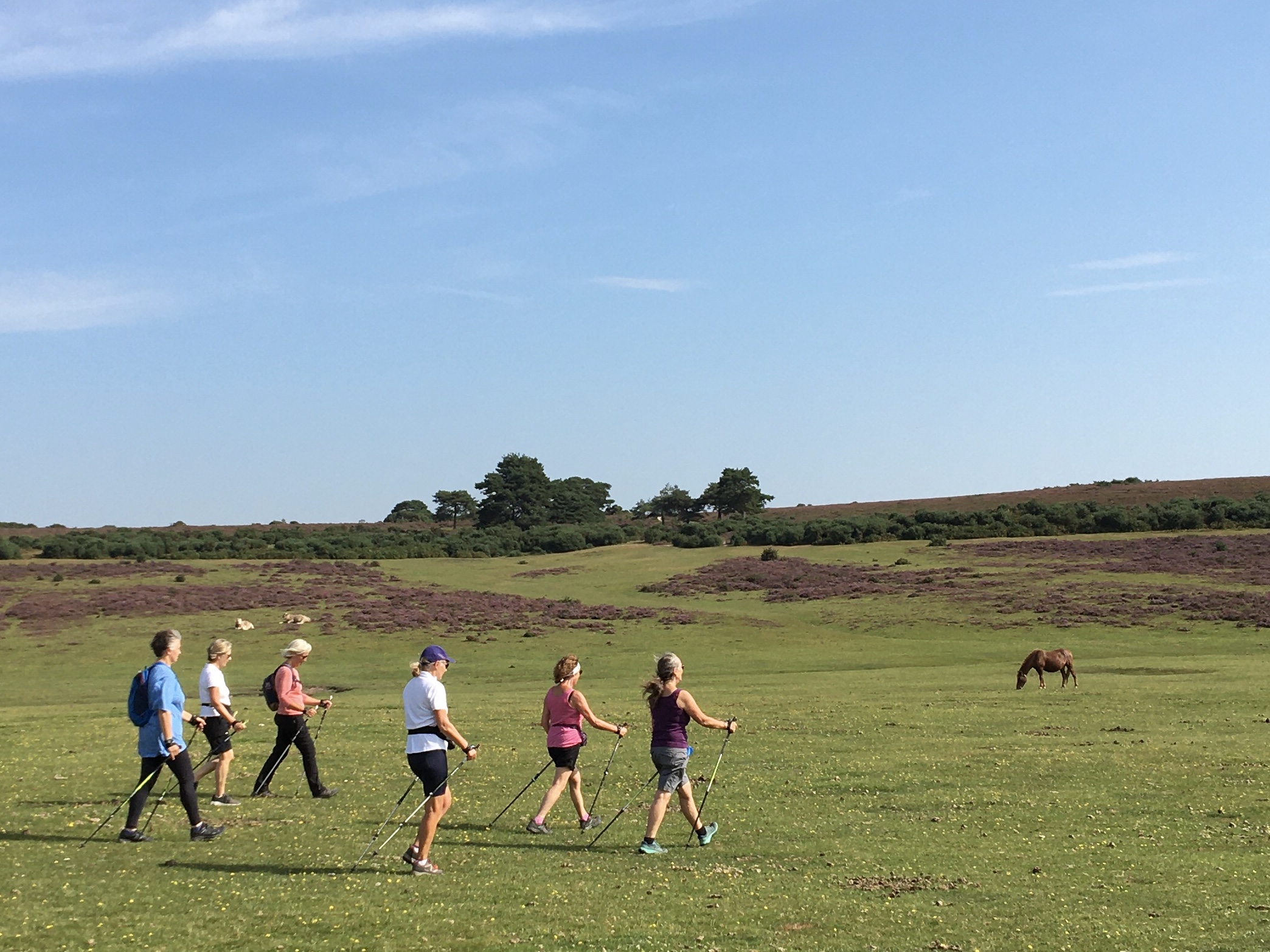 Longslade Bottom Workout Walk