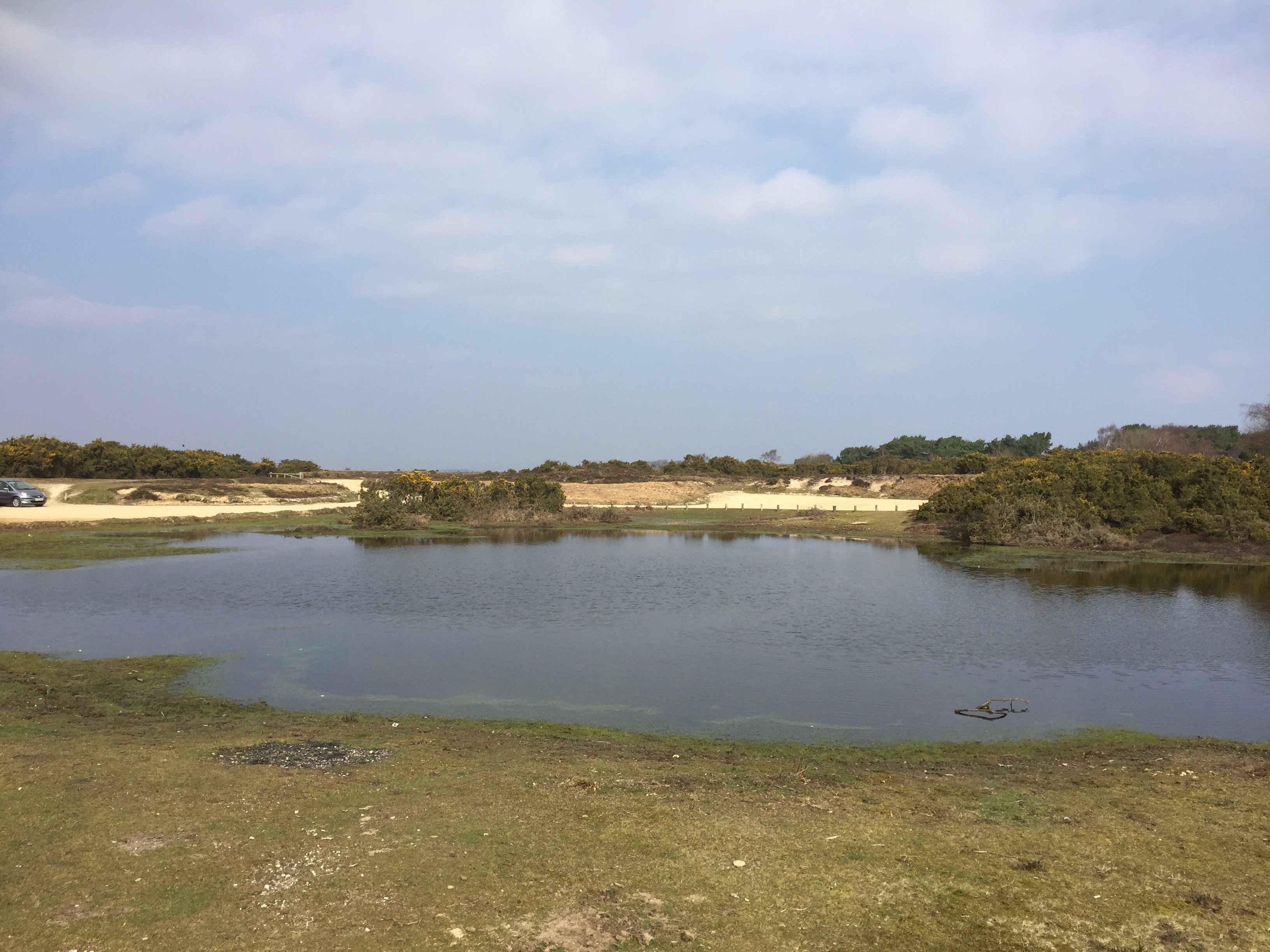 Setley Pond Workout Walk