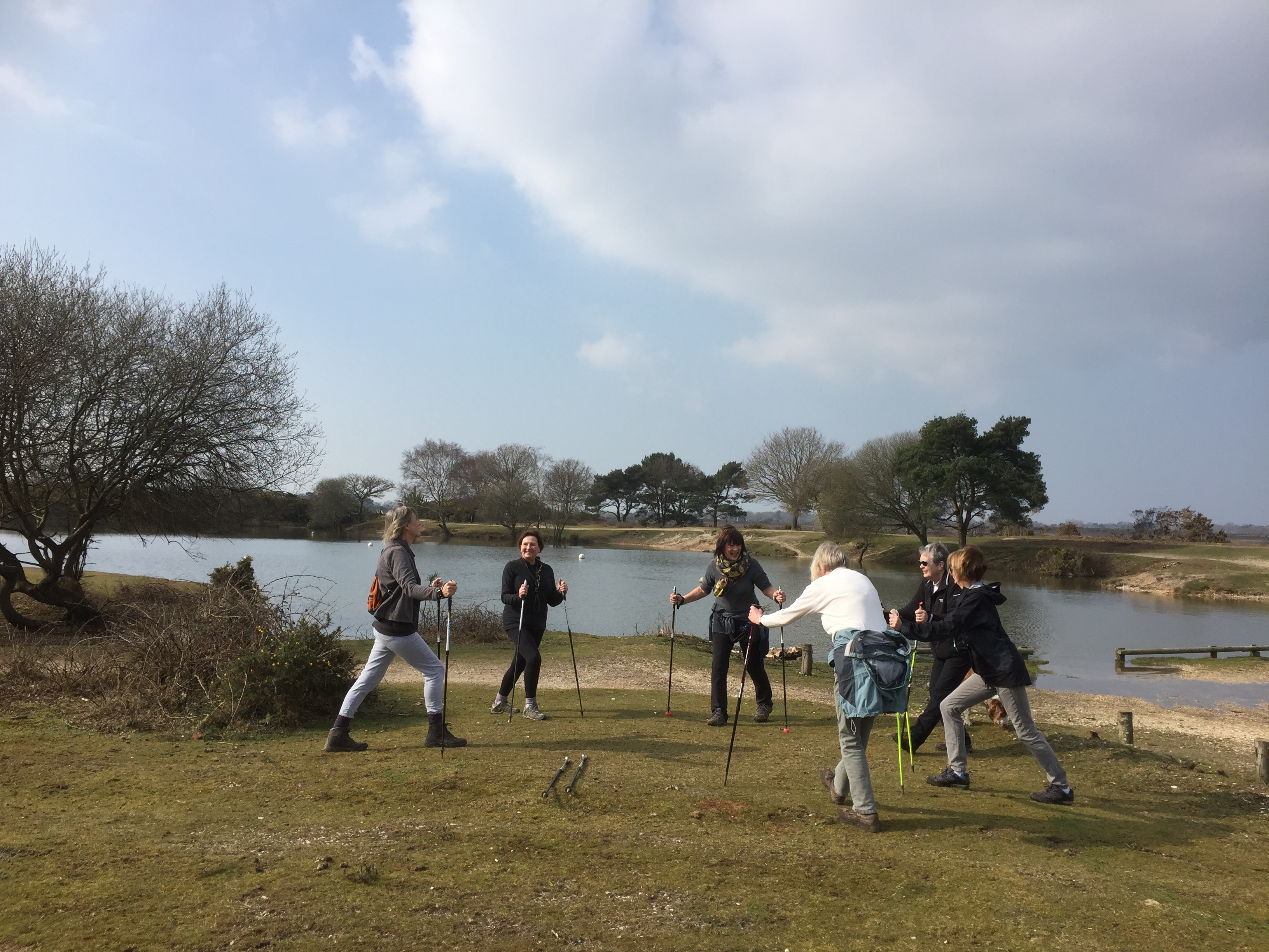 Setley Pond Gentle Walk