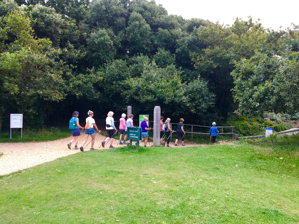 Chewton Bunny Workout Walk