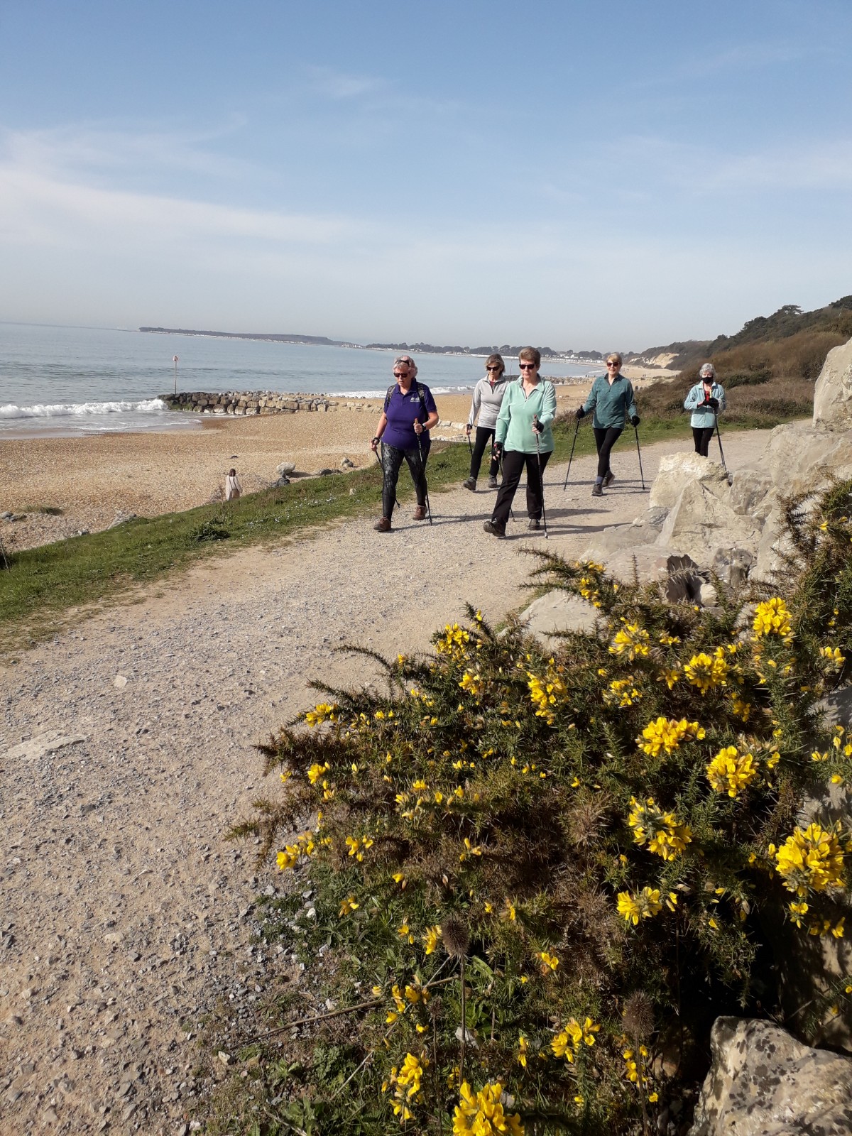 Chewton Bunny Workout Walk