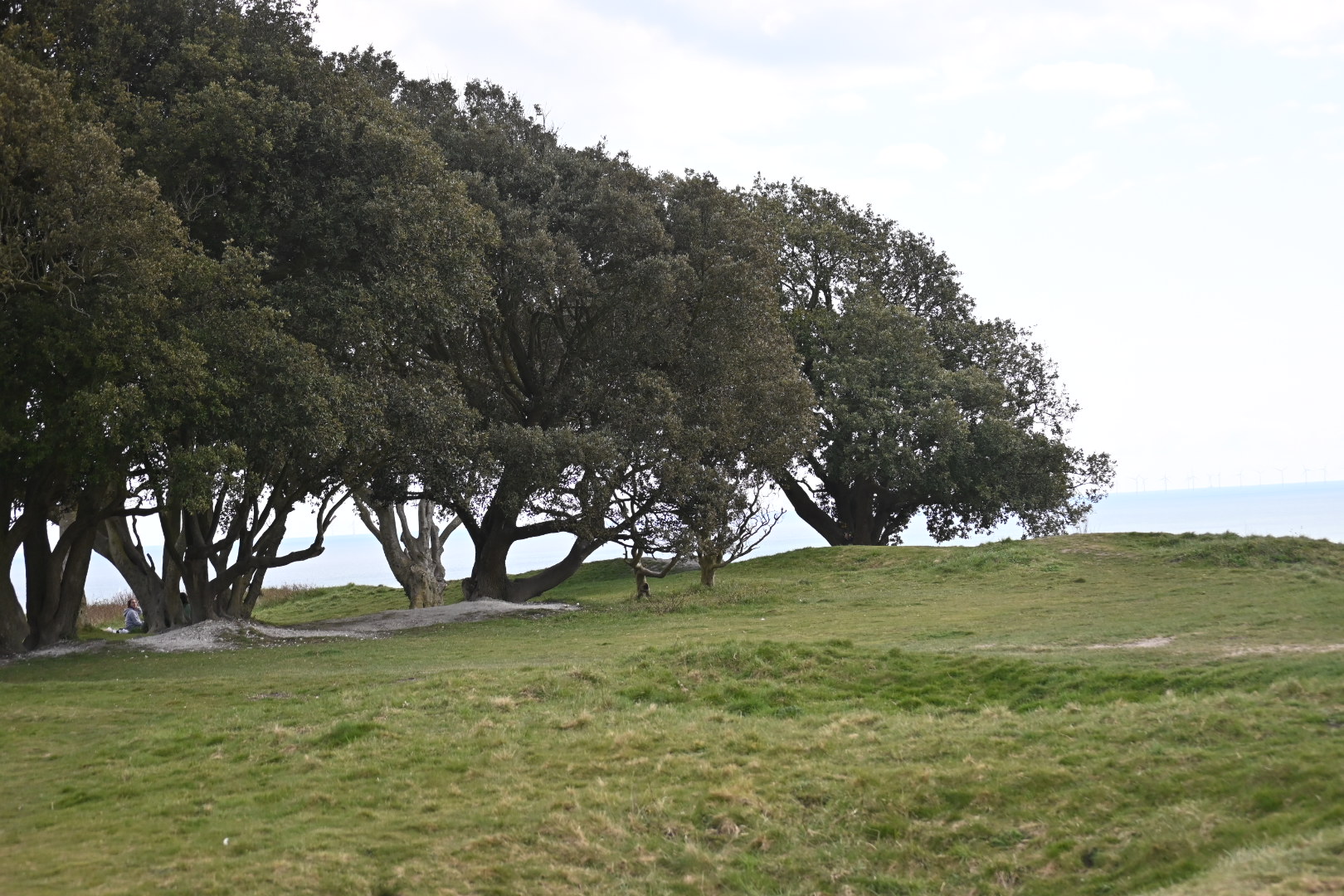 Highdown Hill Walk (Moderate)