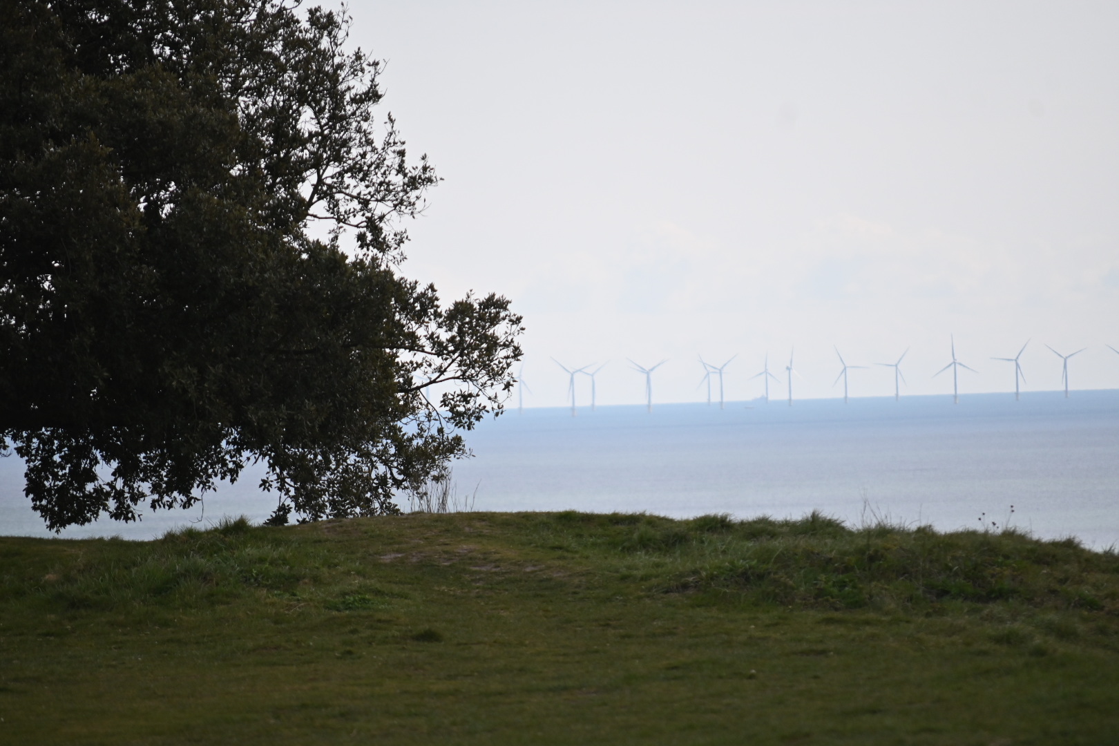 Highdown Hill Walk (Moderate)
