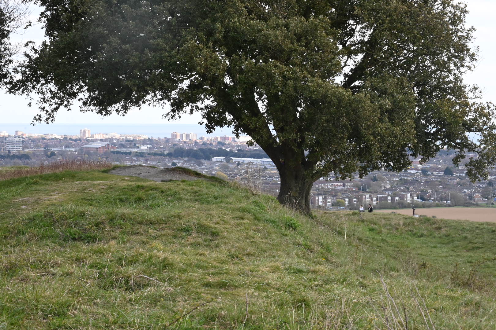 Highdown Hill Walk (Moderate)