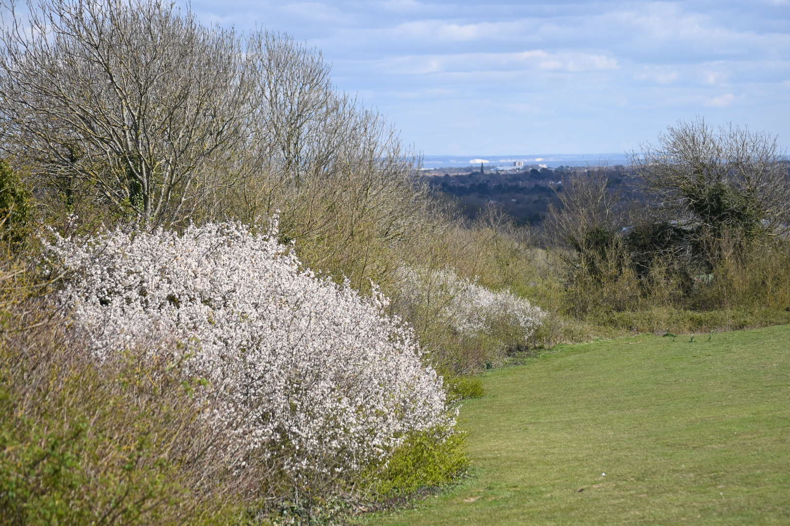 Highdown Hill Walk (Moderate)