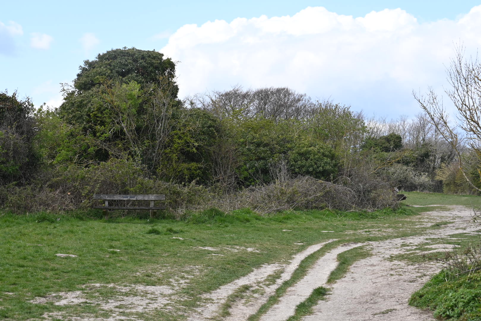 Highdown Hill Walk (Moderate)
