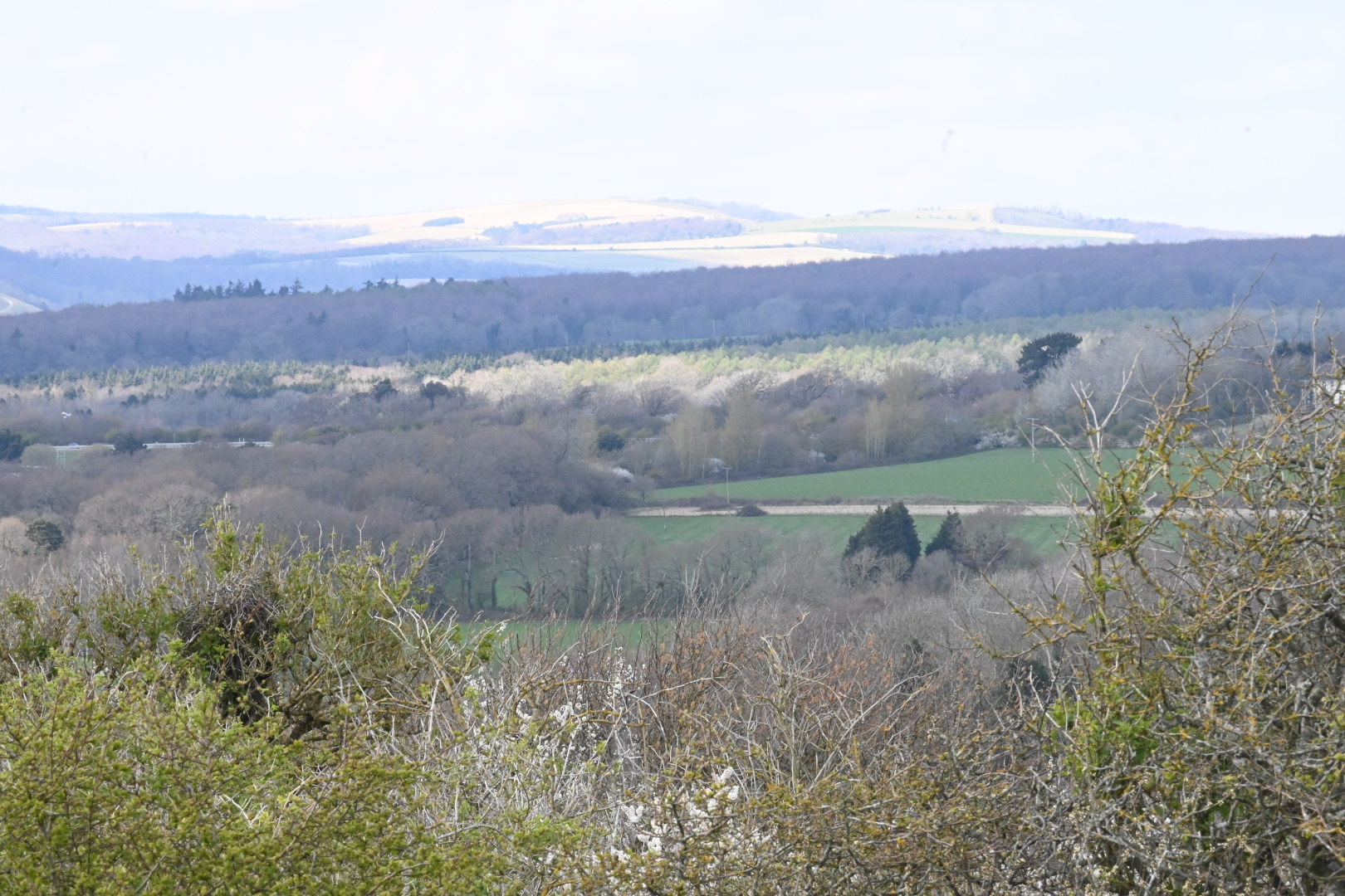 Highdown Hill Walk (Moderate)
