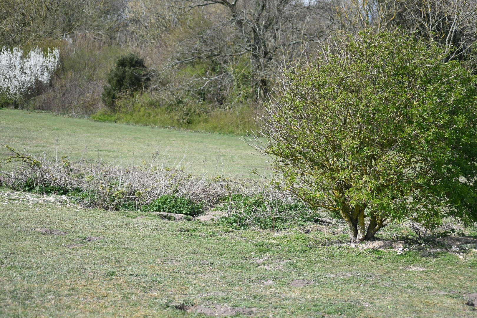 Highdown Hill Walk (Moderate)