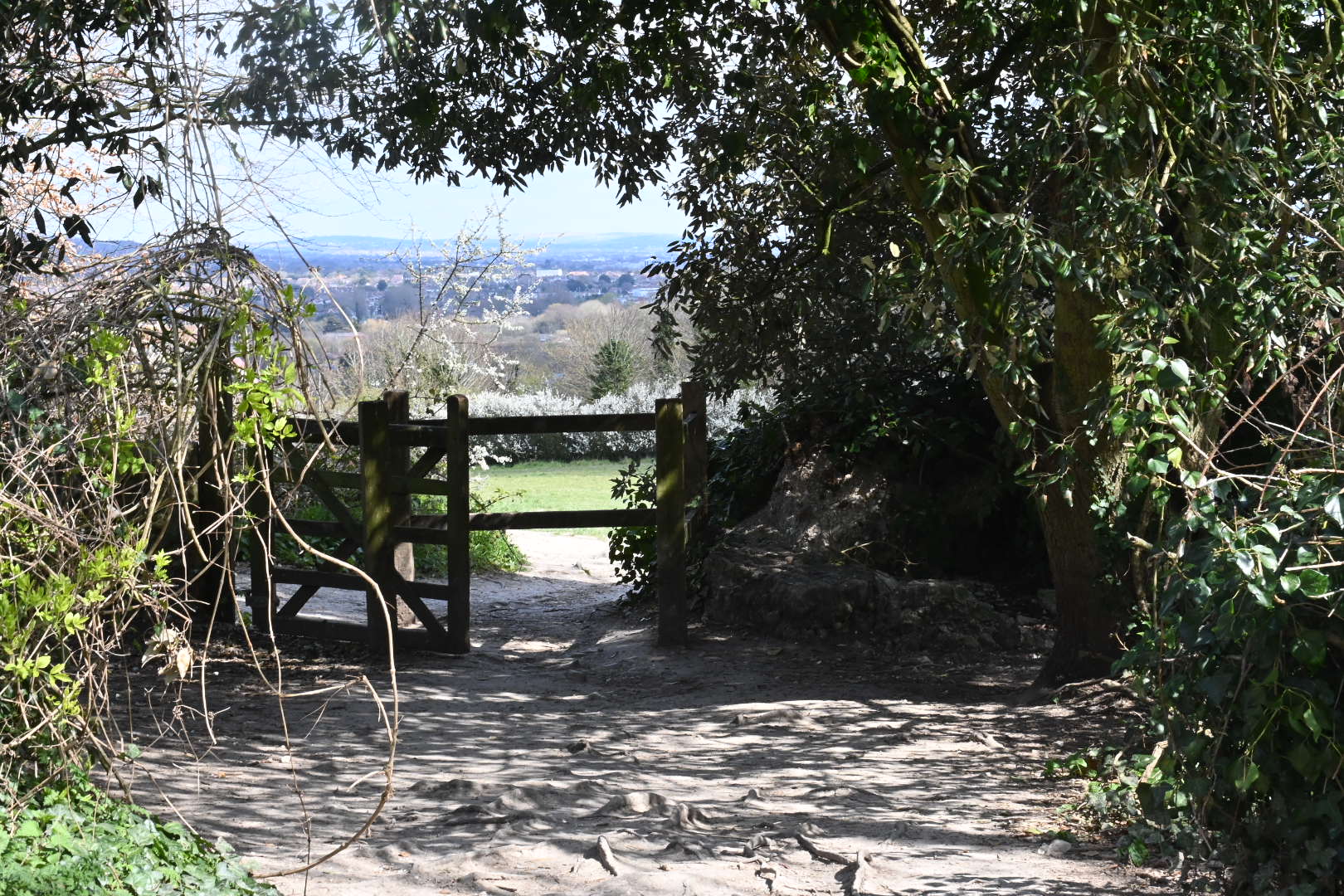 Highdown Hill Walk (Moderate)