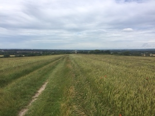 Highdown Hill Walk (Moderate)