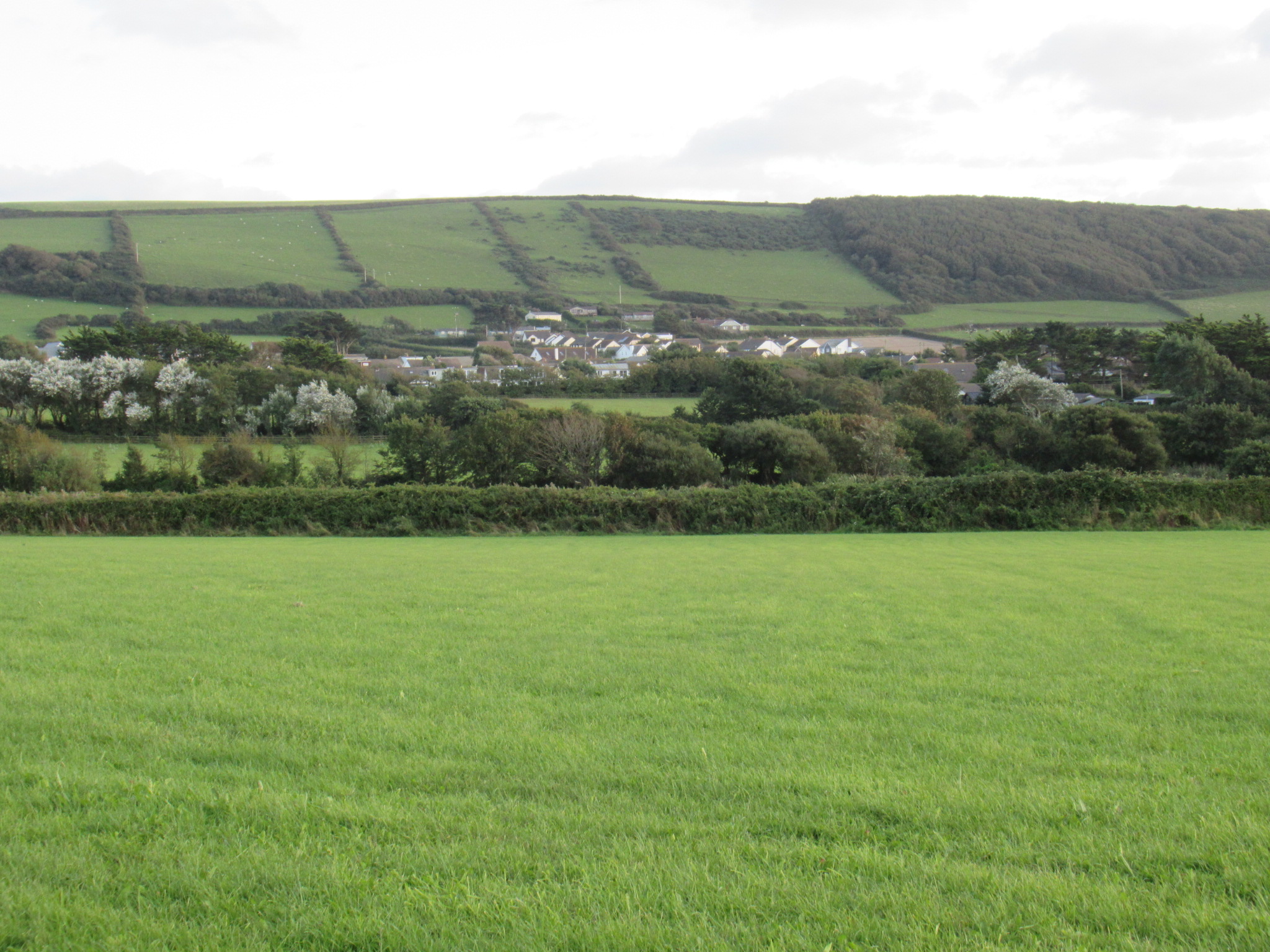 Autumn Houghton Walk - Moderate