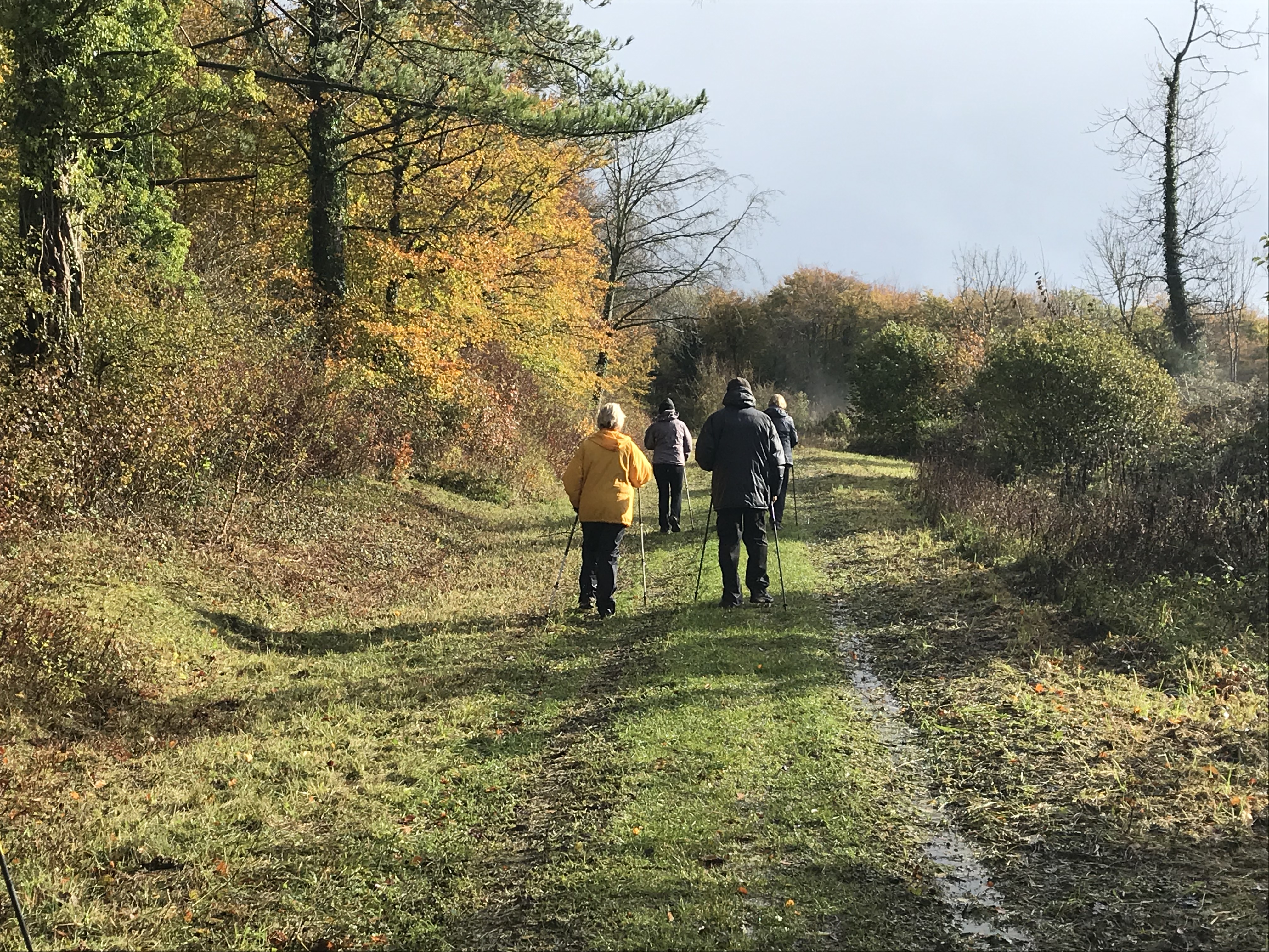 Autumn Houghton Walk - Moderate