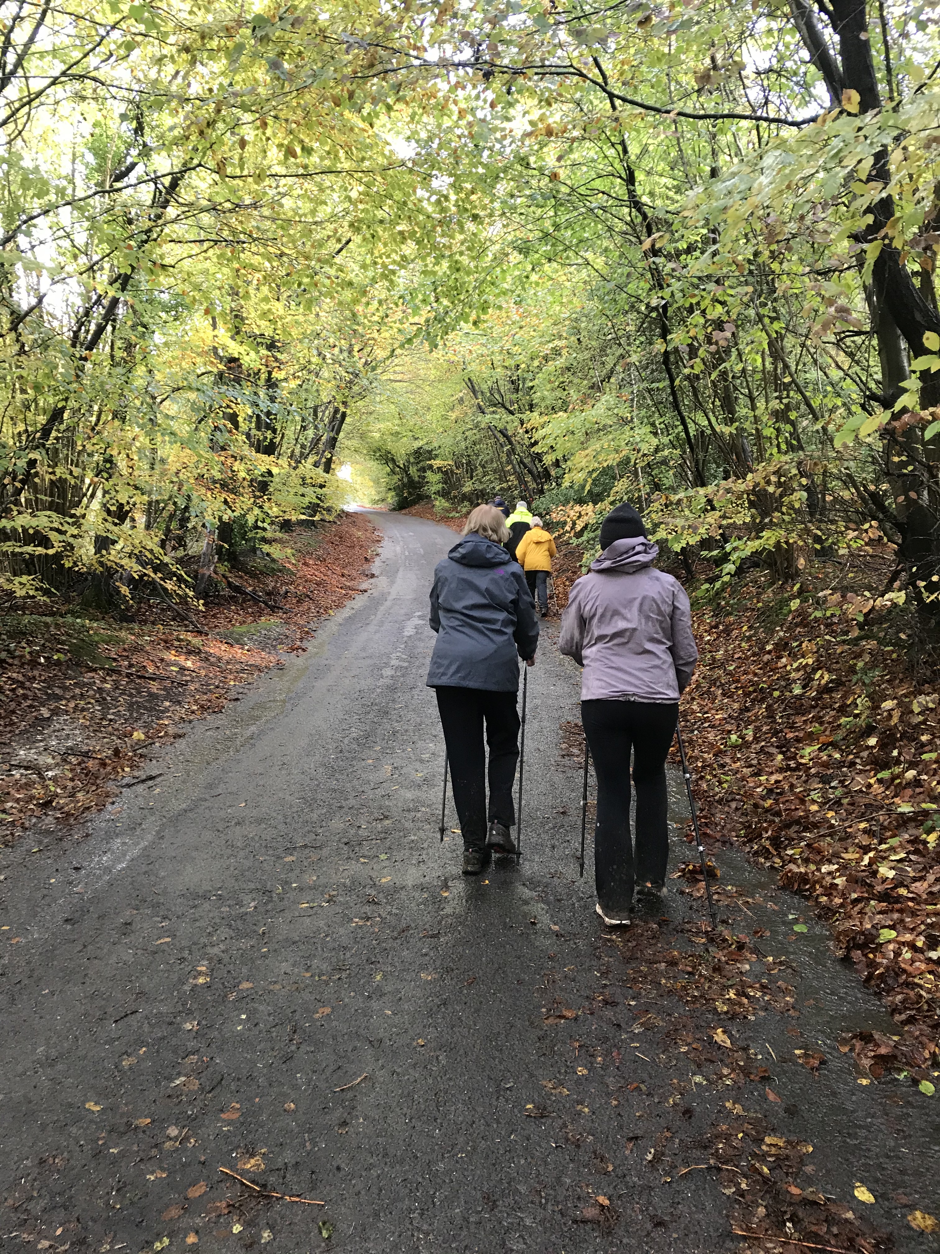 Autumn Houghton Walk - Moderate