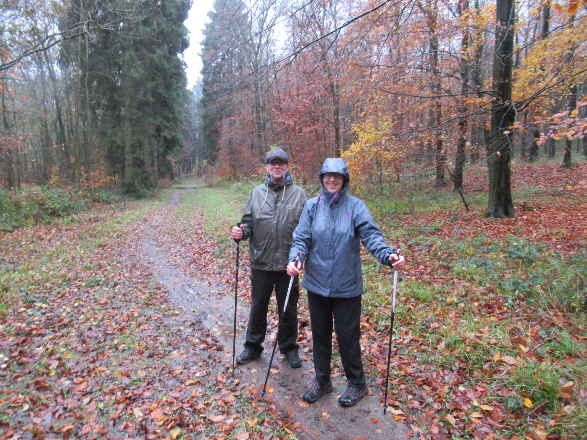 Autumn Houghton Walk - Moderate