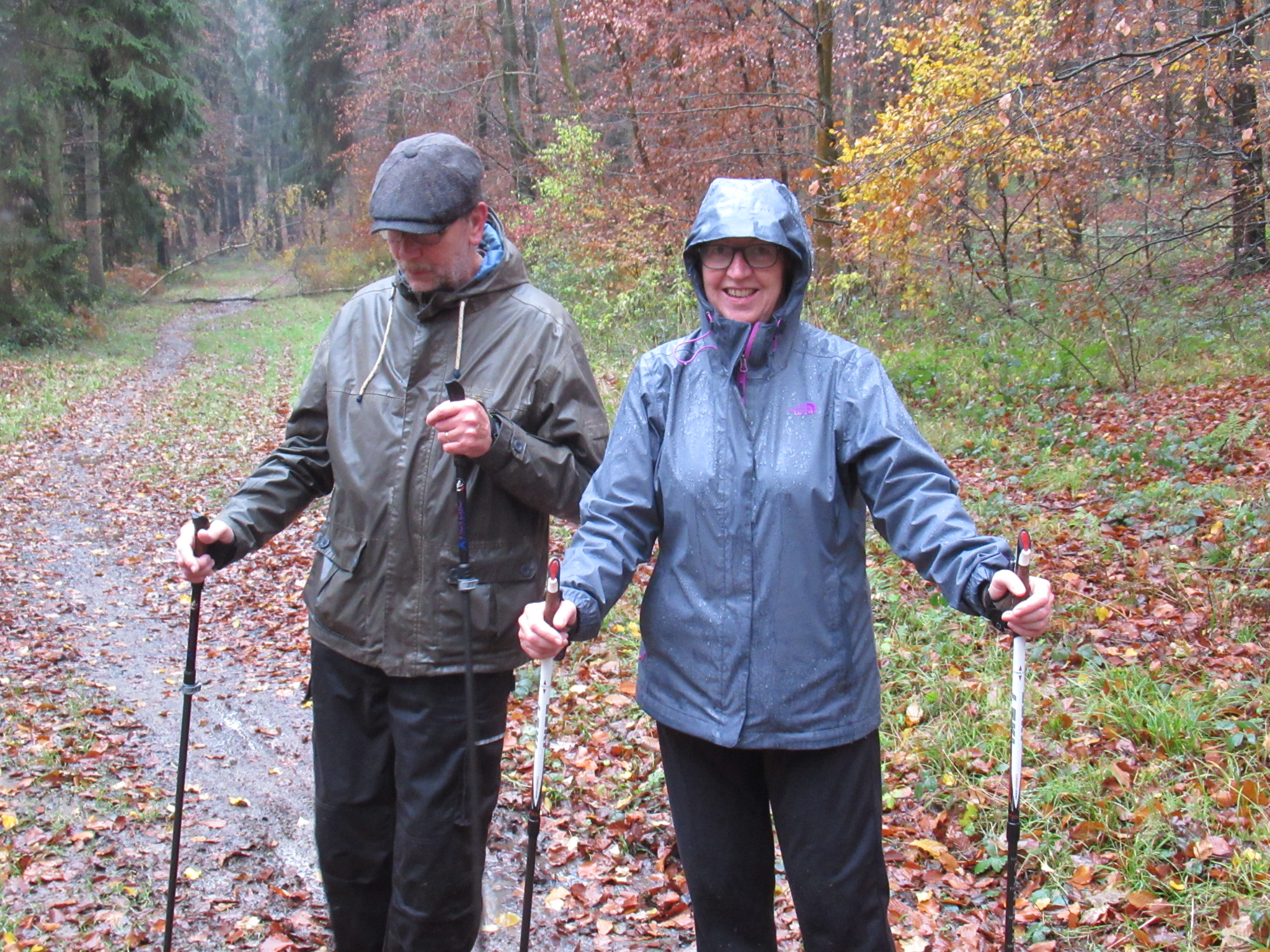 Autumn Houghton Walk - Moderate