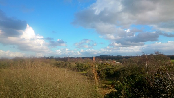 TOTAL BODY WALX-FITNESS, walking for results Frodsham Woodland Trust with Kerley