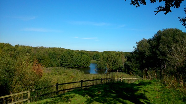 TOTAL BODY WALX-FITNESS, walking for results Frodsham Woodland Trust with Kerley