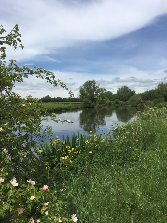 River and Reservoir walk at Farmoor