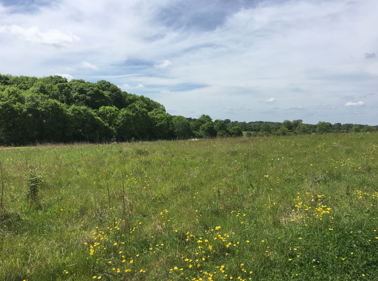 River and Reservoir walk at Farmoor