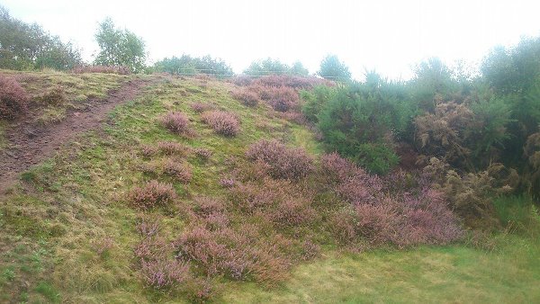 Victoria Park, Widnes Total Body WALX -WELLNESS Walking for results with Kerley