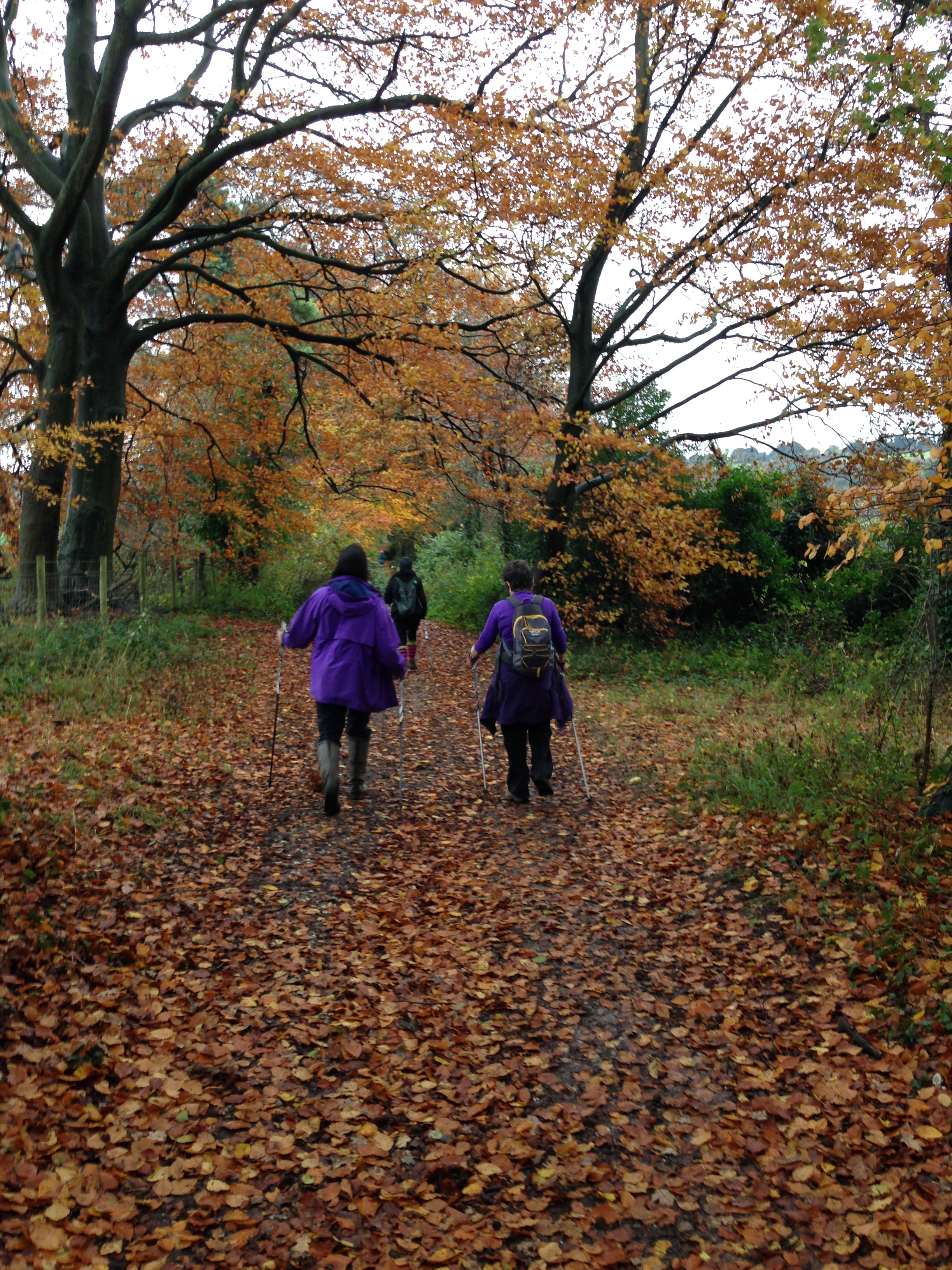 A FASTER PACED WALK - Compton to Winchester (Gear 2 to 3) - 5 miles