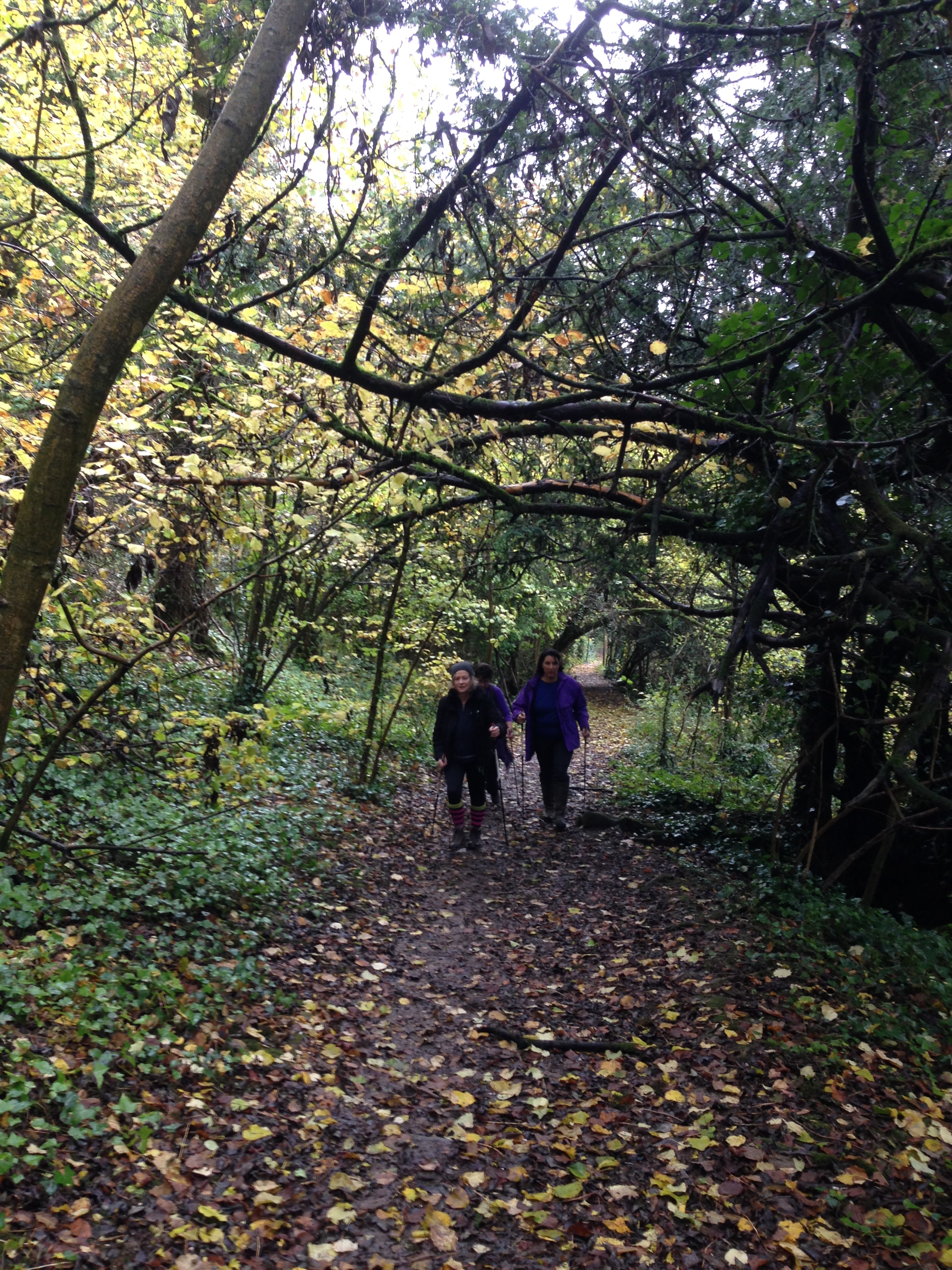 A FASTER PACED WALK - Compton to Winchester (Gear 2 to 3) - 5 miles