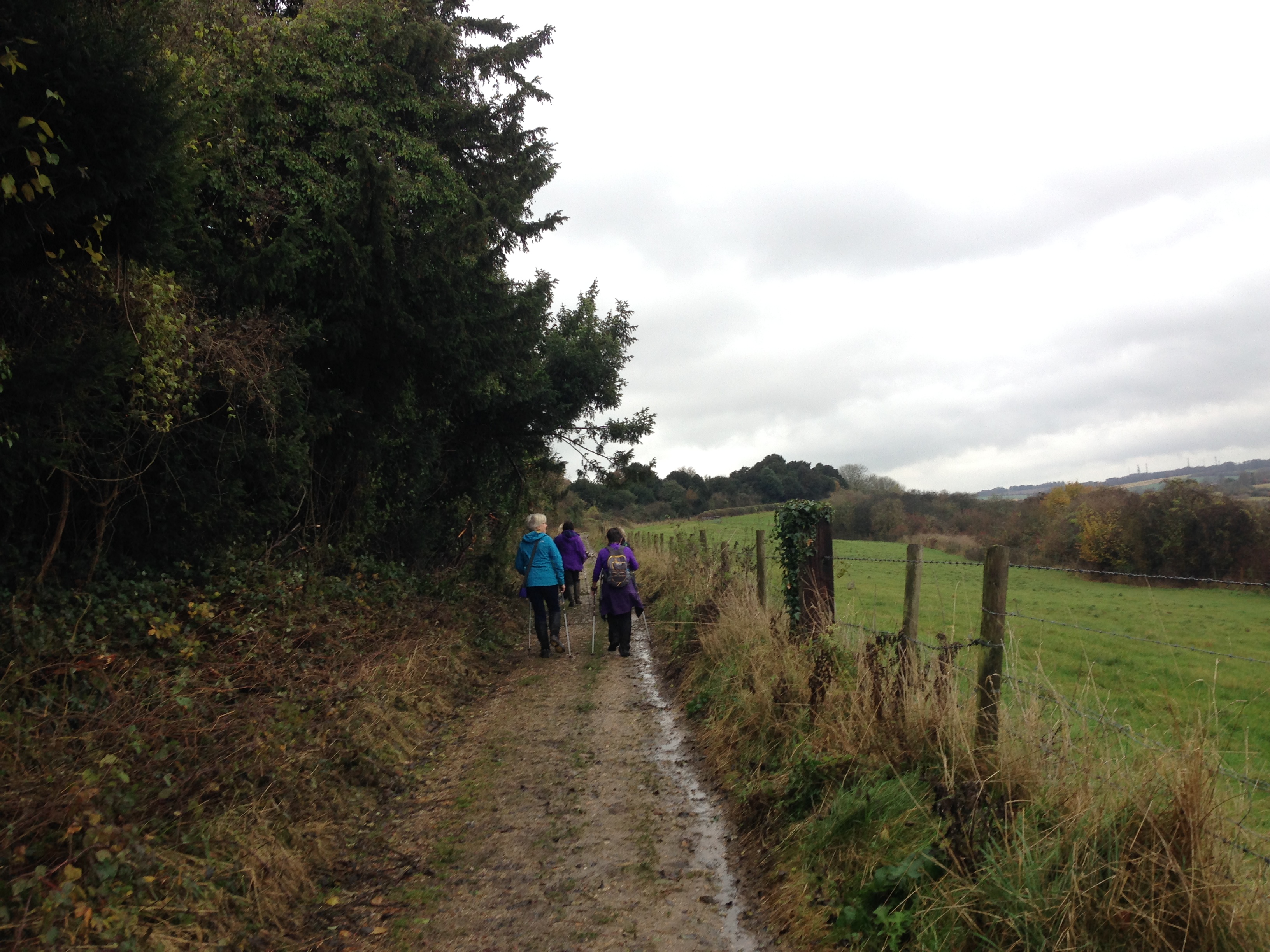 A FASTER PACED WALK - Compton to Winchester (Gear 2 to 3) - 5 miles