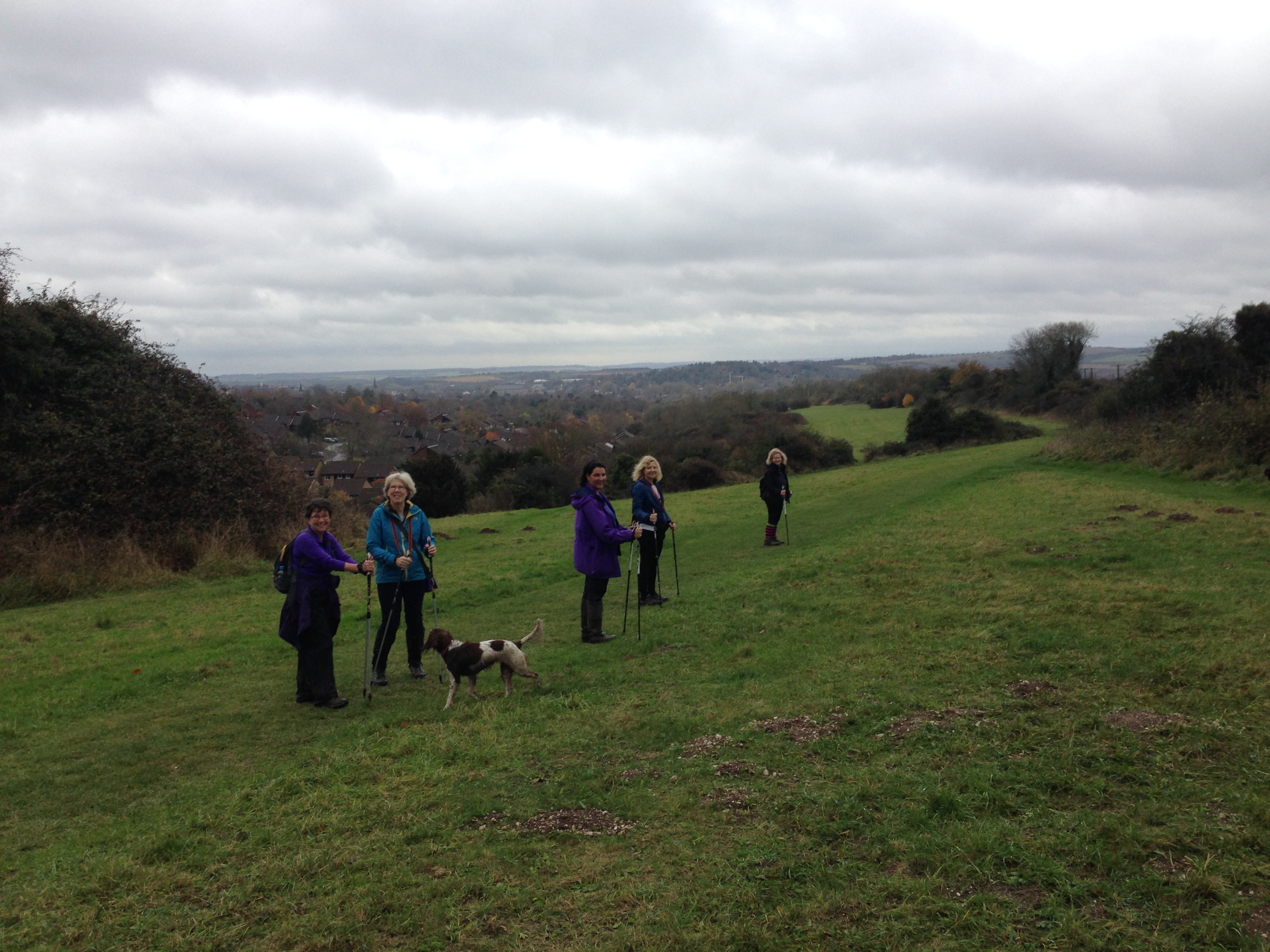 A FASTER PACED WALK - Compton to Winchester (Gear 2 to 3) - 5 miles