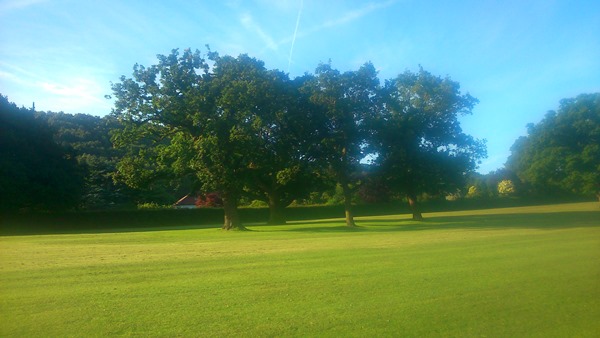 Castle Park, Frodsham Gentle Total Body WALX Wellness with Duncan, Rosemary