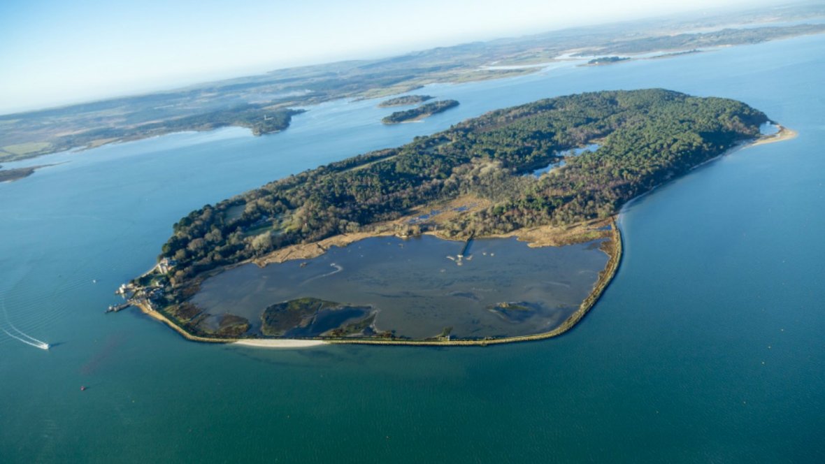 Brownsea Island experience WALK CLOSED - FULLY BOOKED