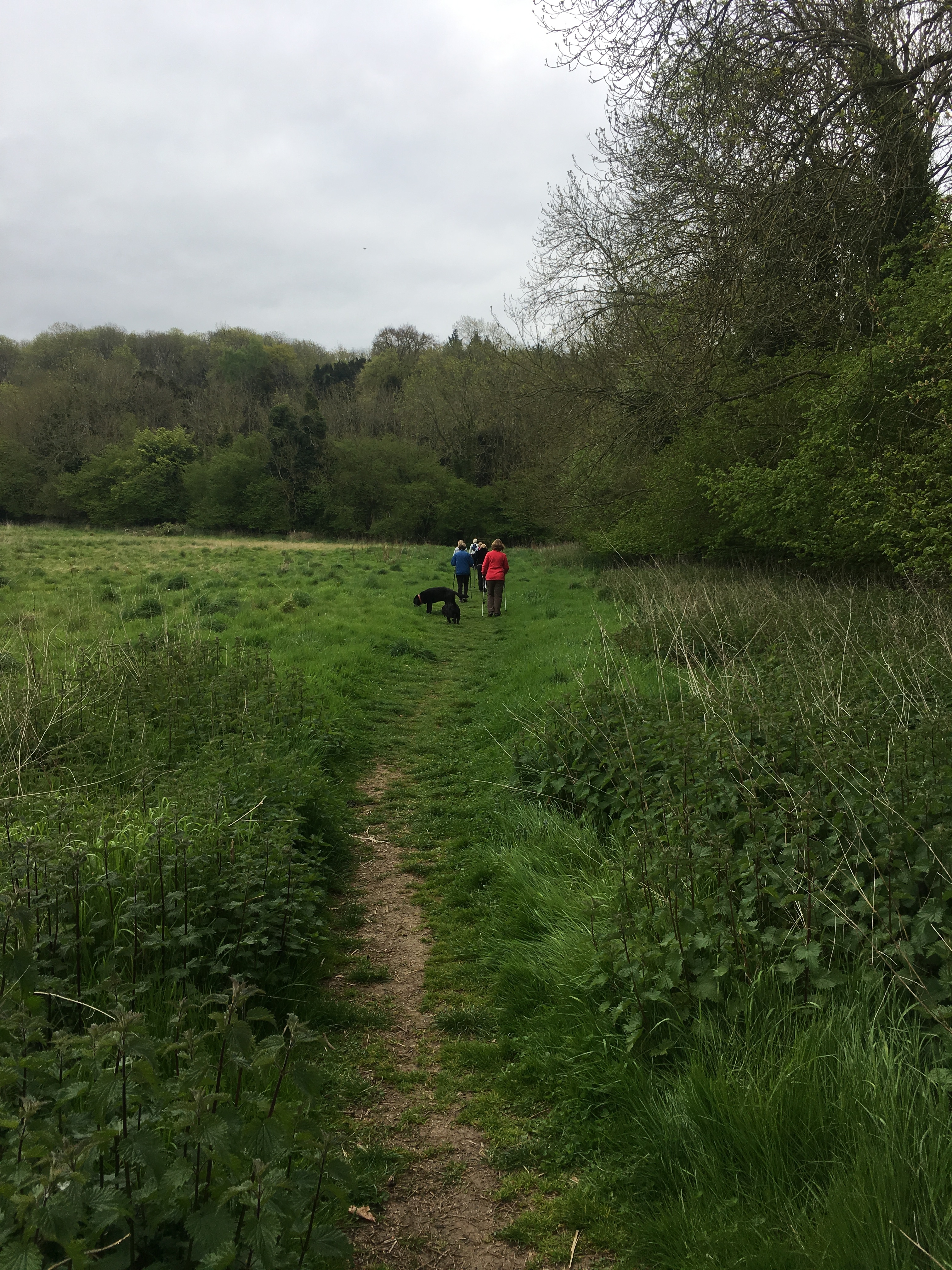 Bishop's Waltham circular walk (Gear 1 to 2) - 5 miles