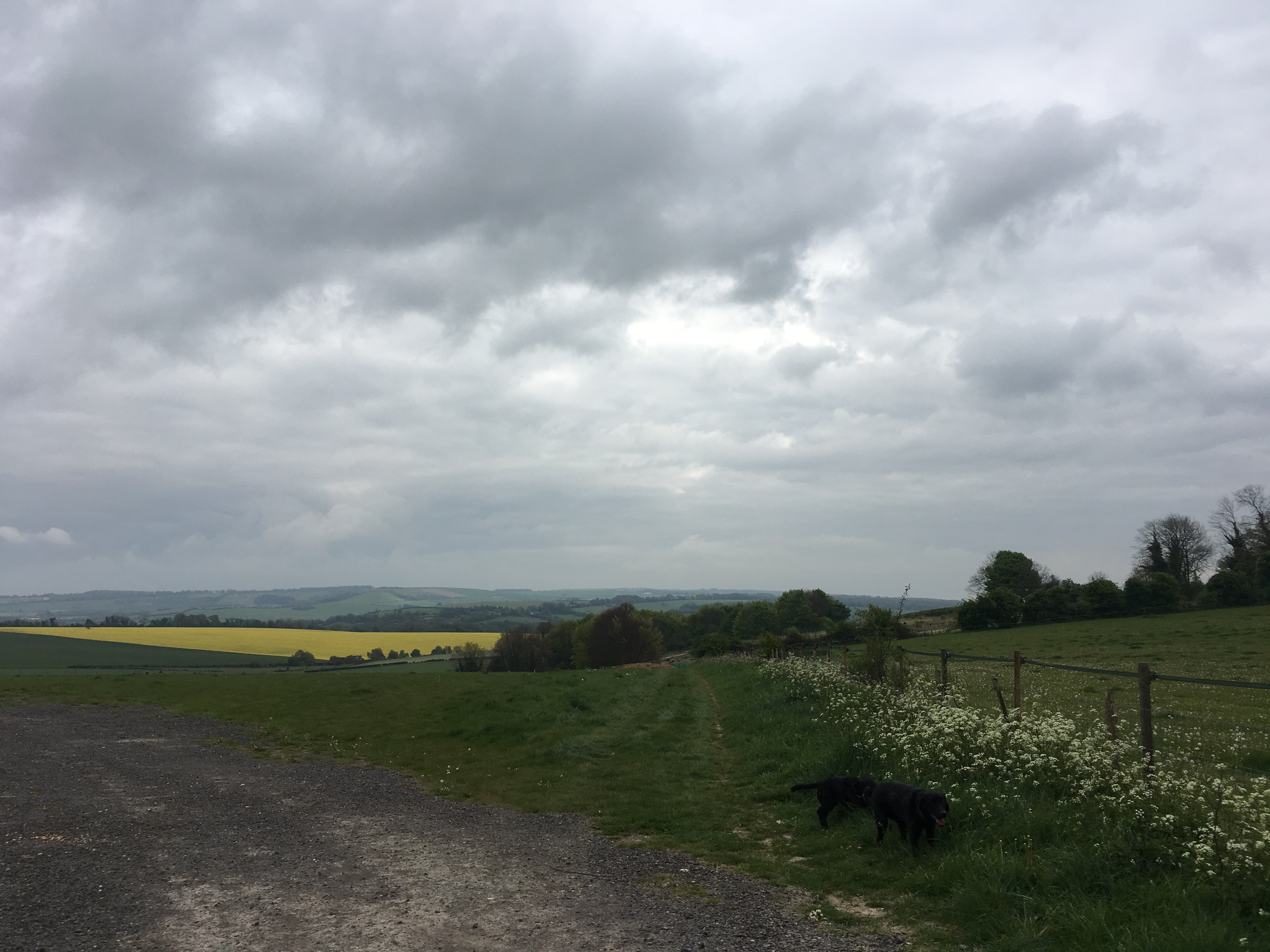 Bishop's Waltham circular walk (Gear 1 to 2) - 5 miles