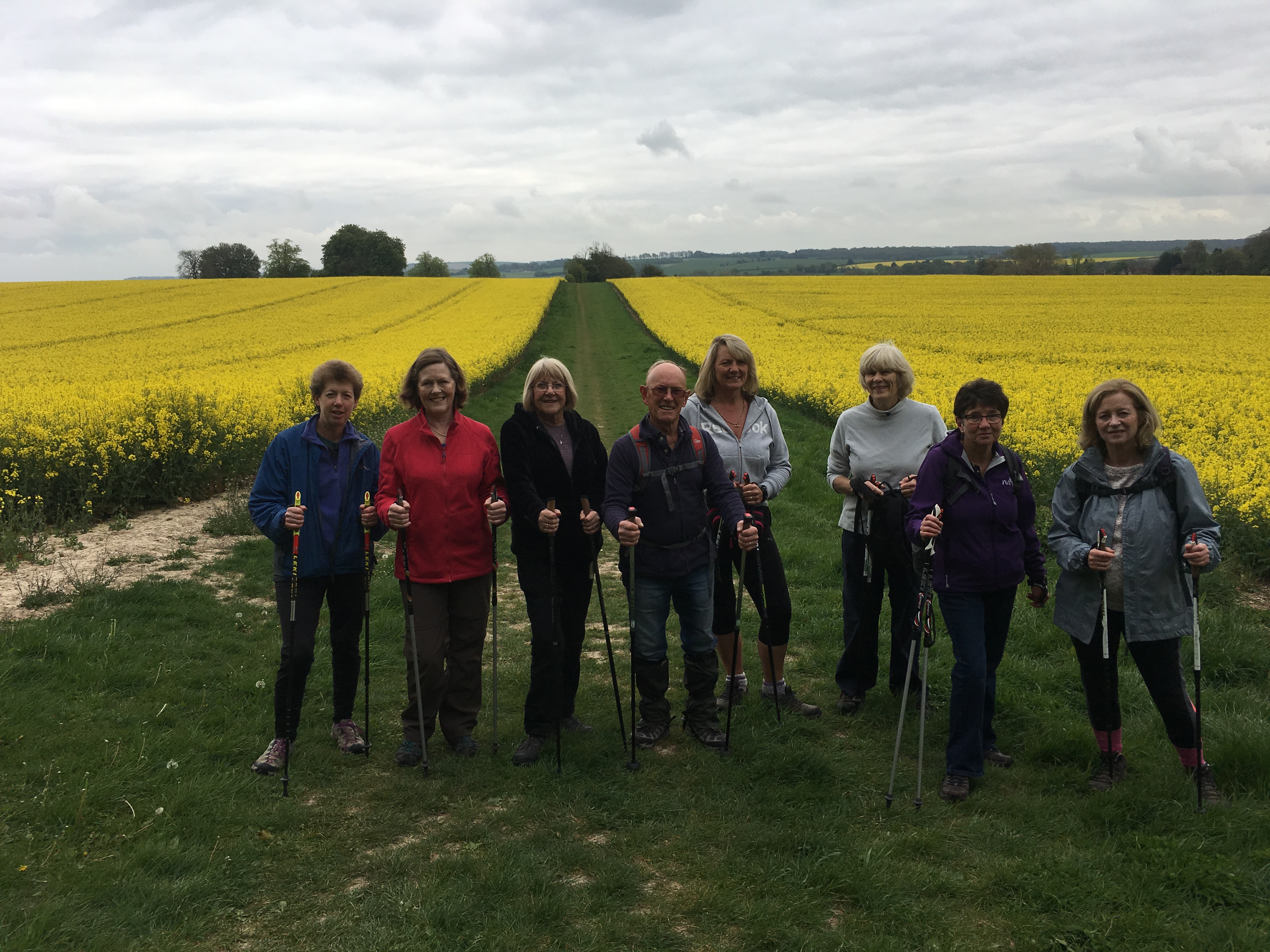 Bishop's Waltham circular walk (Gear 1 to 2) - 5 miles