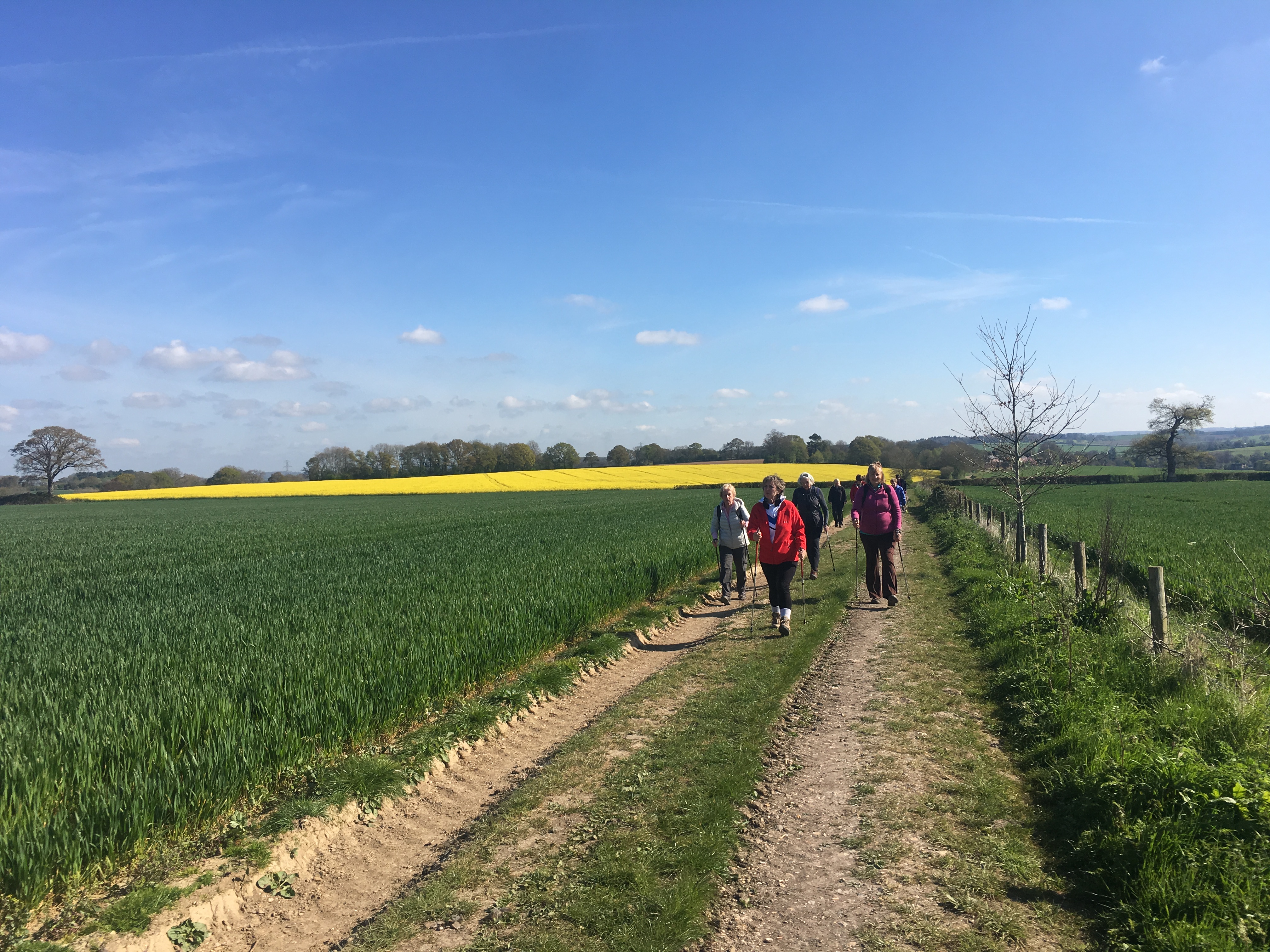 A FASTER PACED WALK - Cheriton (Gear 2 to 3) - 5.5 miles
