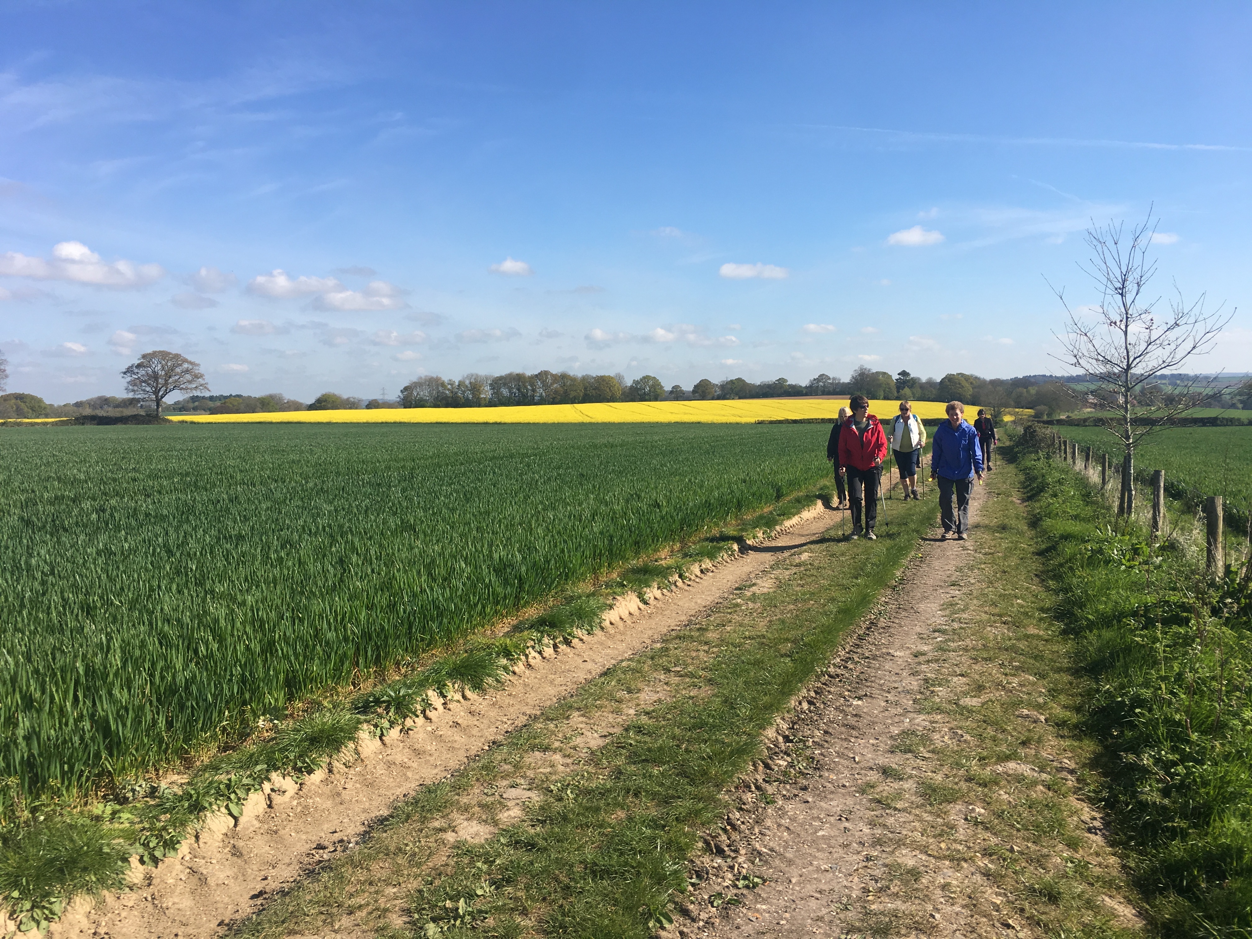 A FASTER PACED WALK - Cheriton (Gear 2 to 3) - 5.5 miles