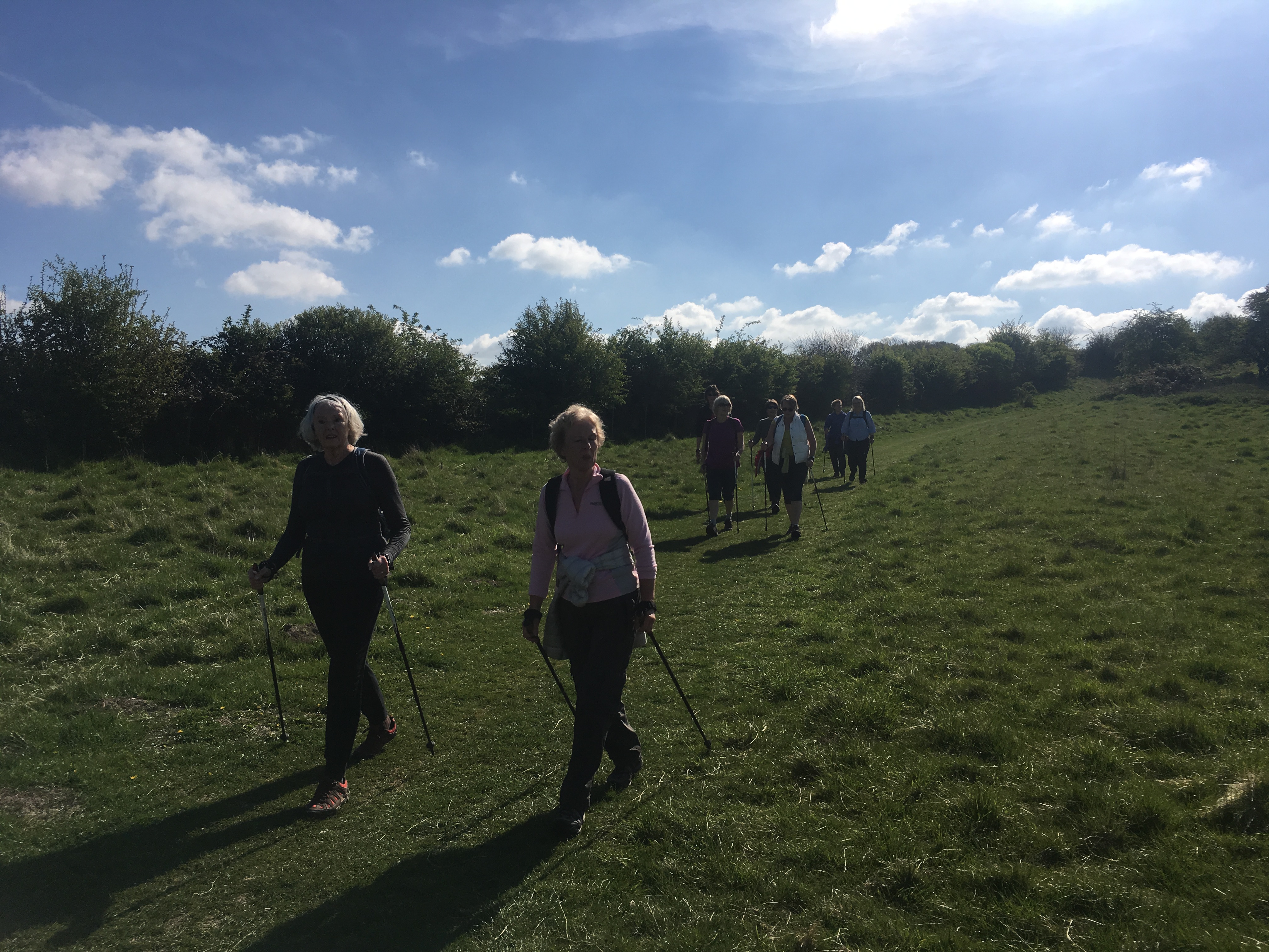 A FASTER PACED WALK - Cheriton (Gear 2 to 3) - 5.5 miles