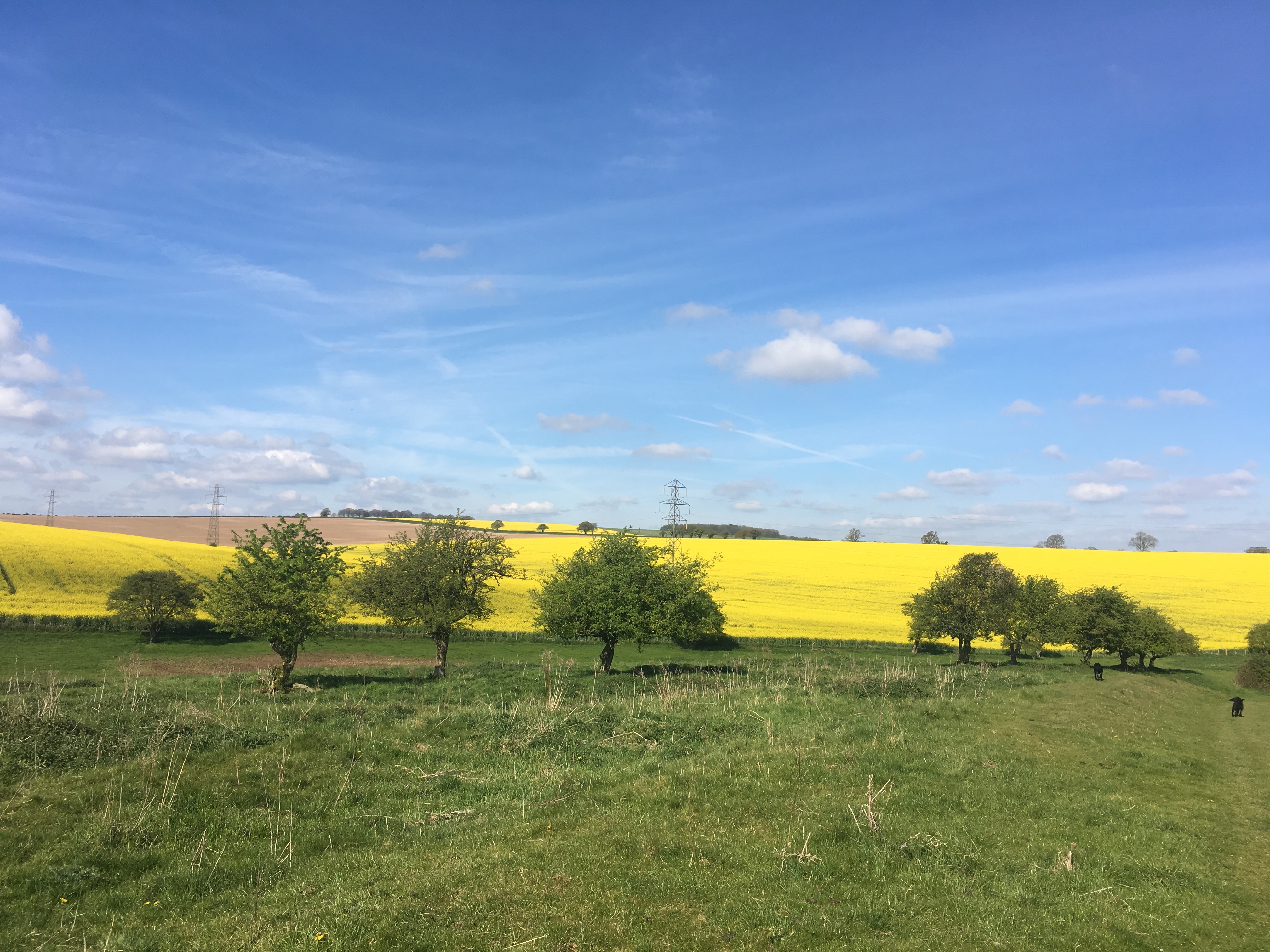 A FASTER PACED WALK - Cheriton (Gear 2 to 3) - 5.5 miles