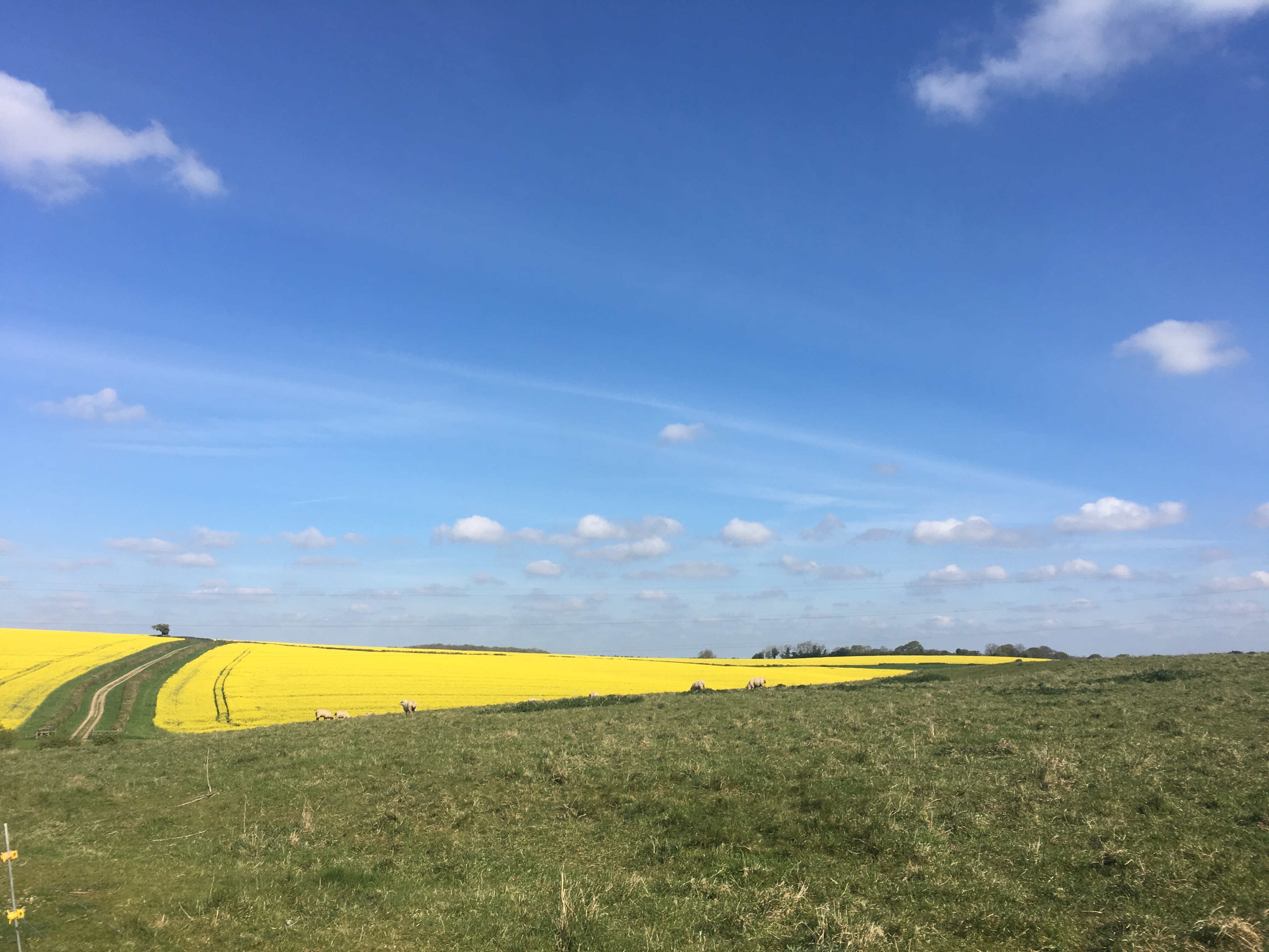 A FASTER PACED WALK - Cheriton (Gear 2 to 3) - 5.5 miles