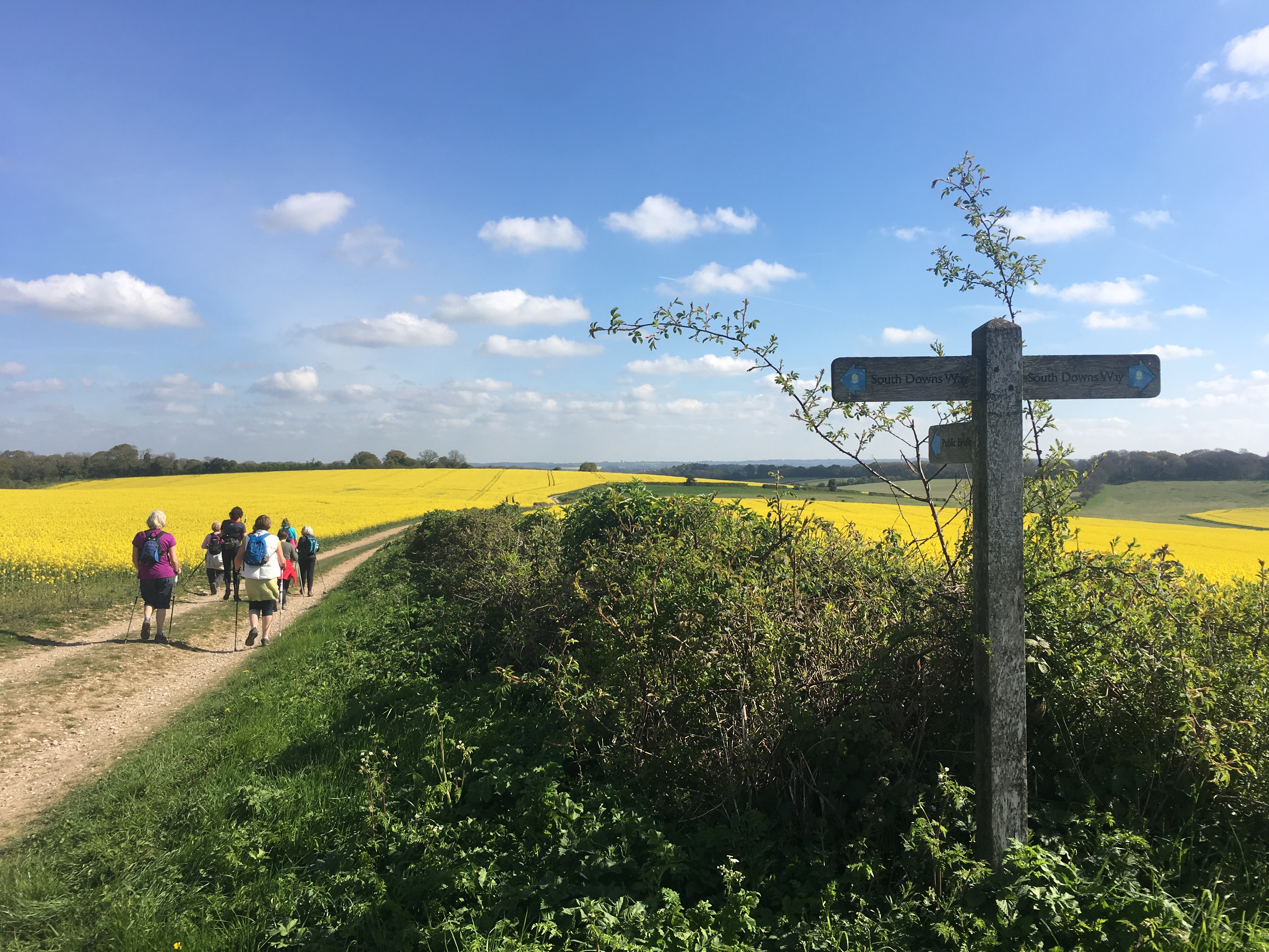 A FASTER PACED WALK - Cheriton (Gear 2 to 3) - 5.5 miles