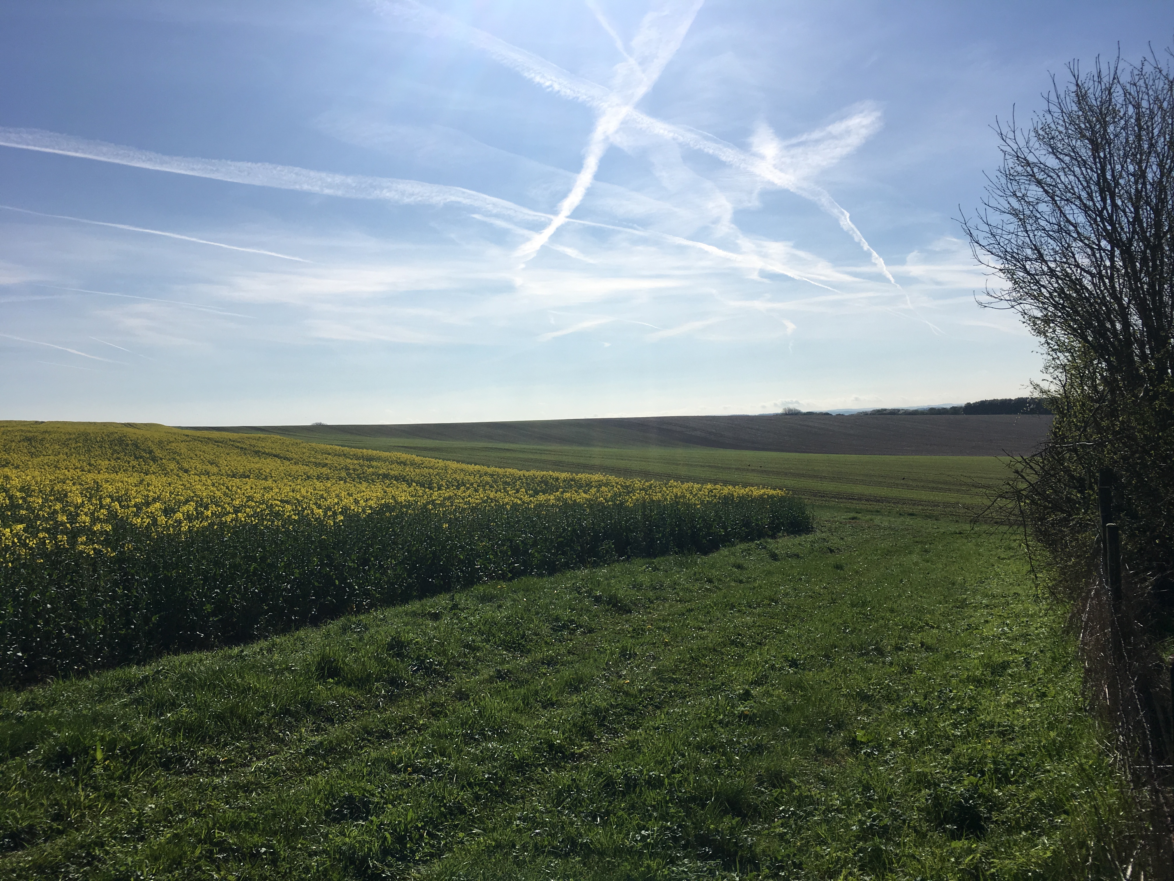 Evening - walk and pub! Itchen Abbas & The Plough (Gear 1 - 2) 4.5 miles