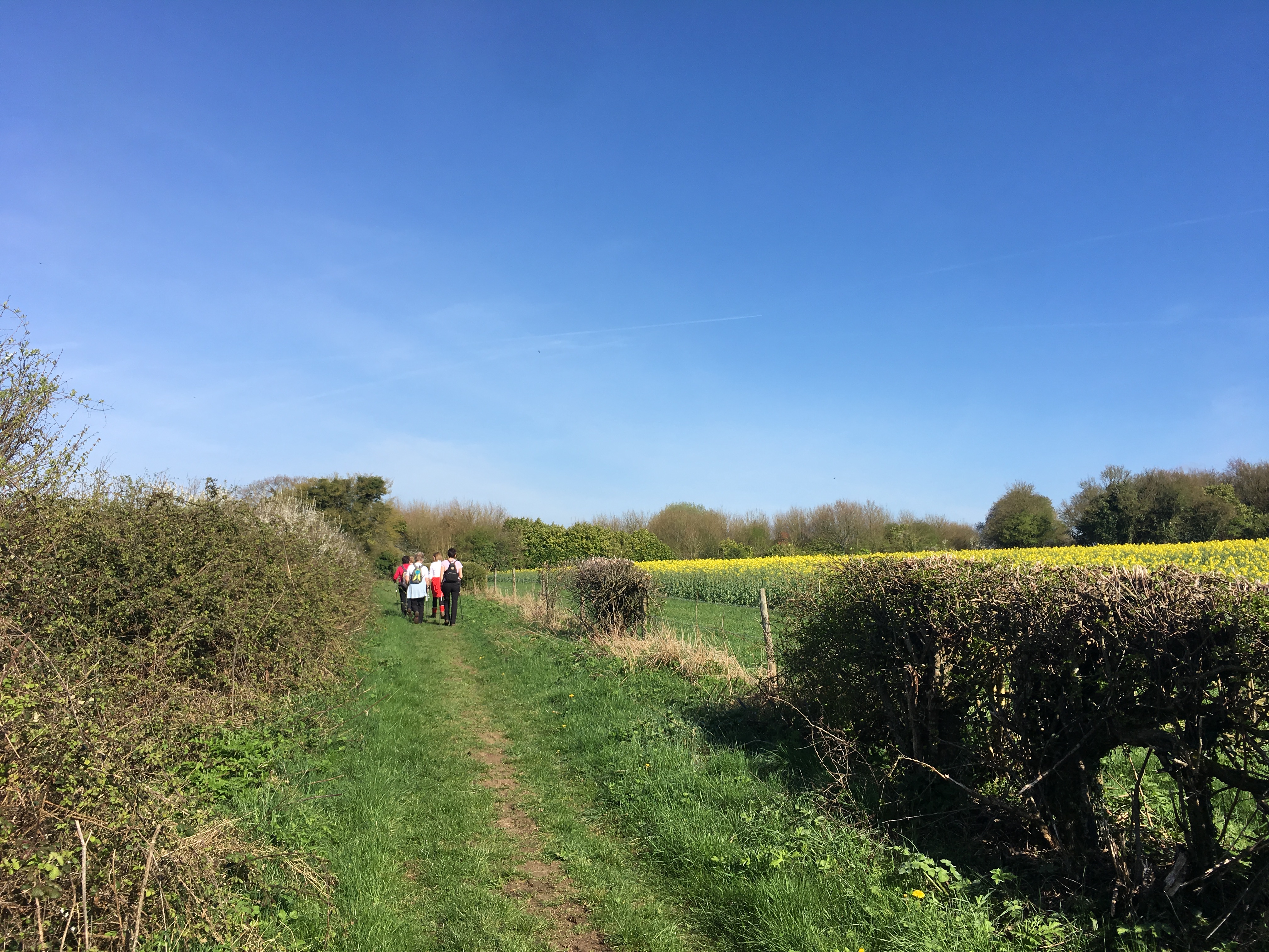 Evening - walk and pub! Itchen Abbas & The Plough (Gear 1 - 2) 4.5 miles