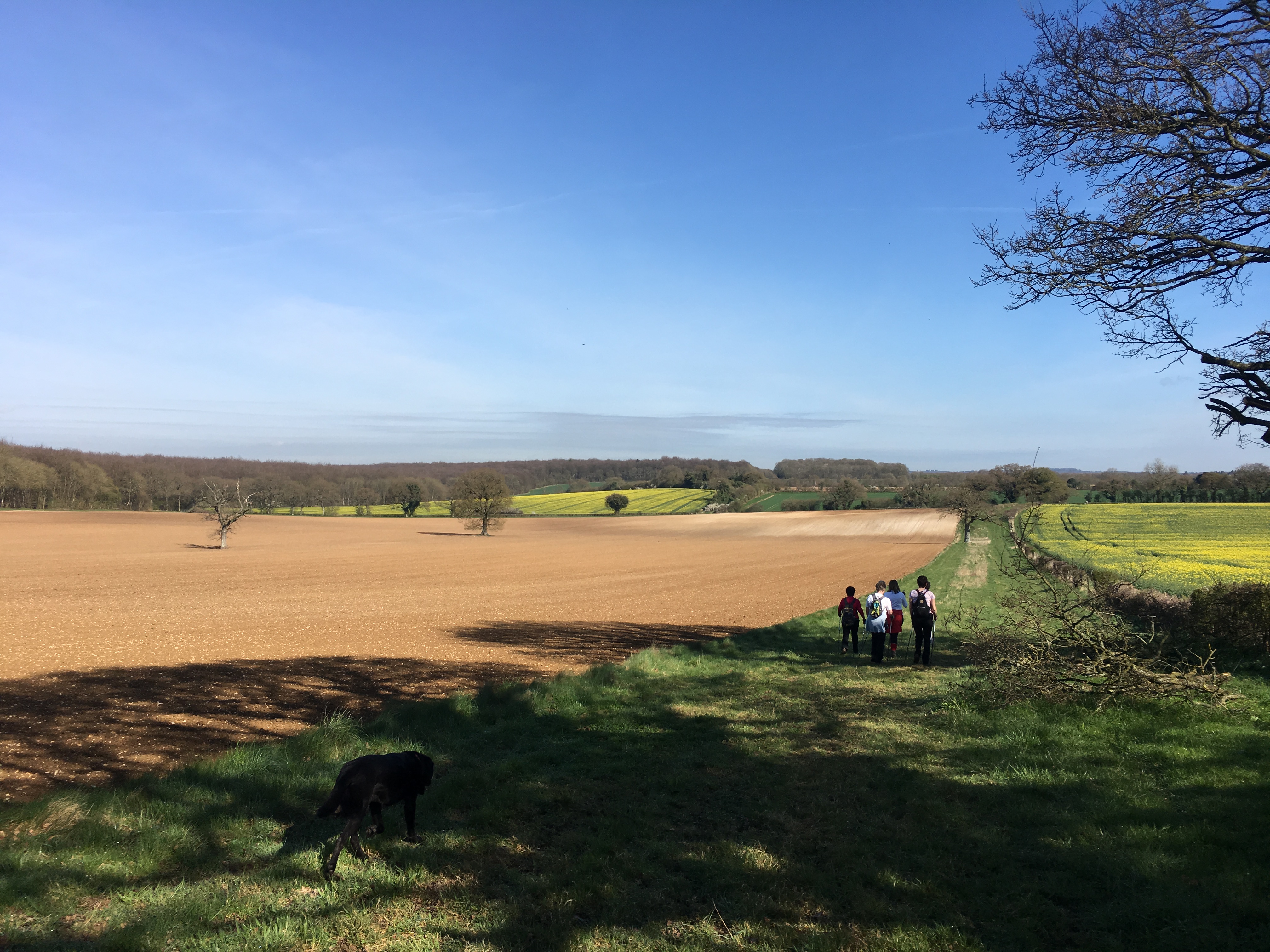 Evening - walk and pub! Itchen Abbas & The Plough (Gear 1 - 2) 4.5 miles