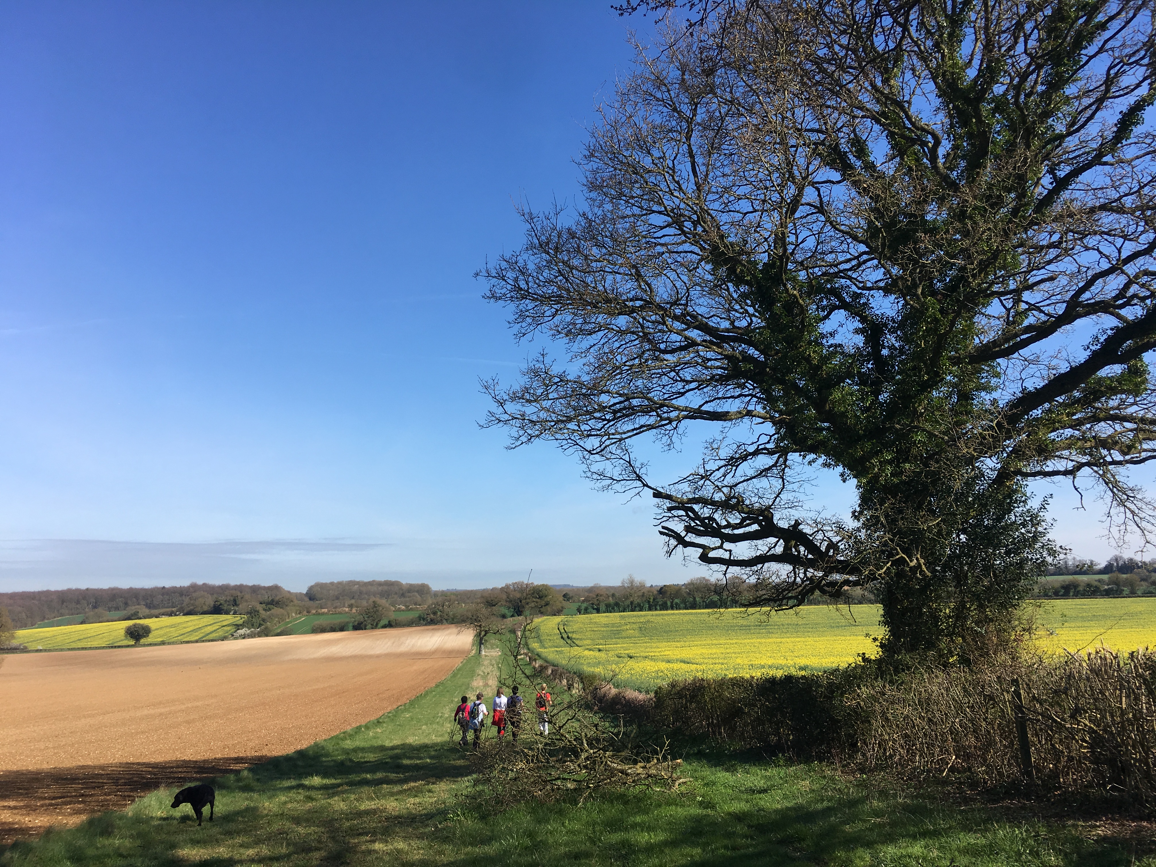 Evening - walk and pub! Itchen Abbas & The Plough (Gear 1 - 2) 4.5 miles