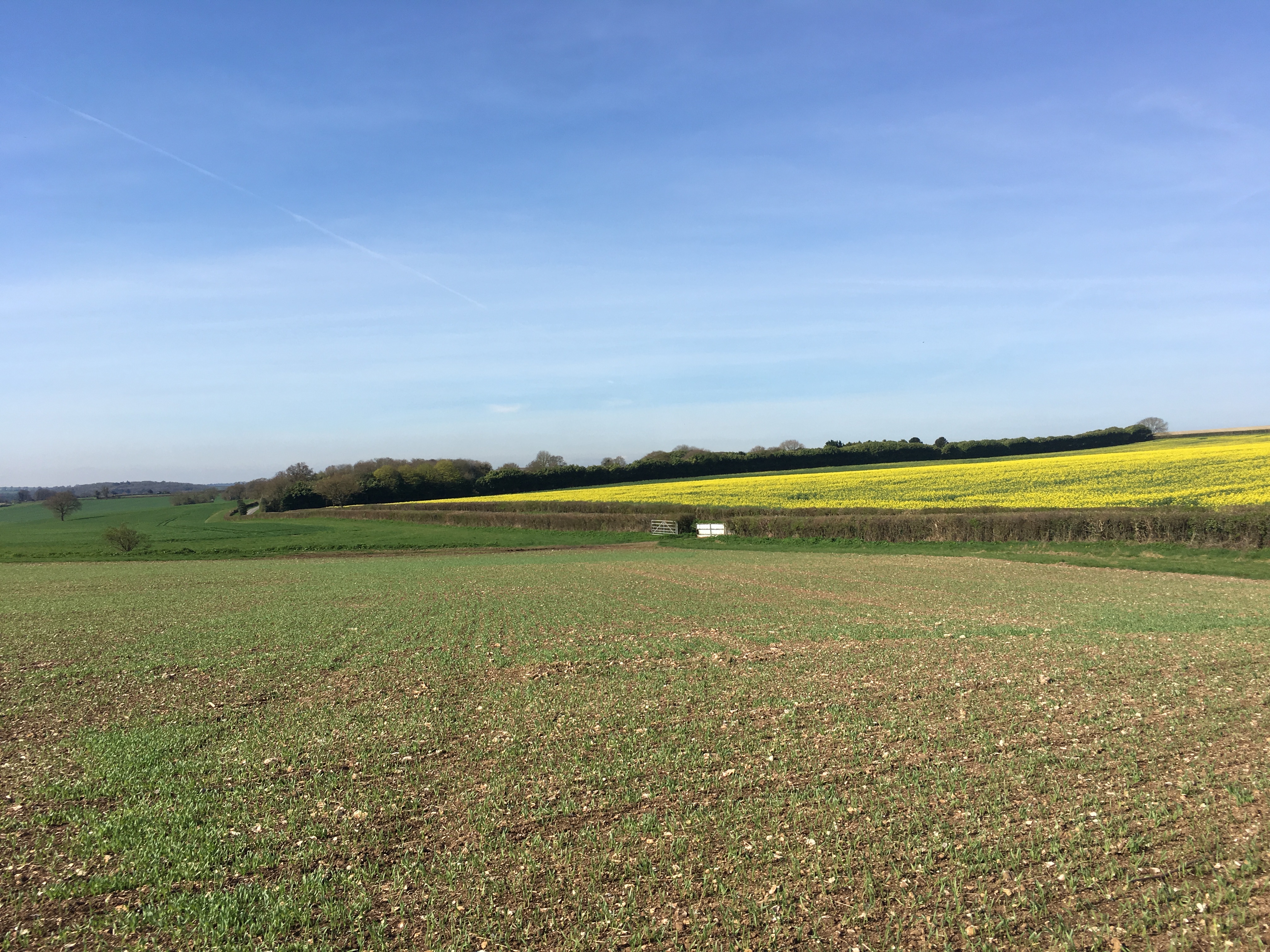 Evening - walk and pub! Itchen Abbas & The Plough (Gear 1 - 2) 4.5 miles