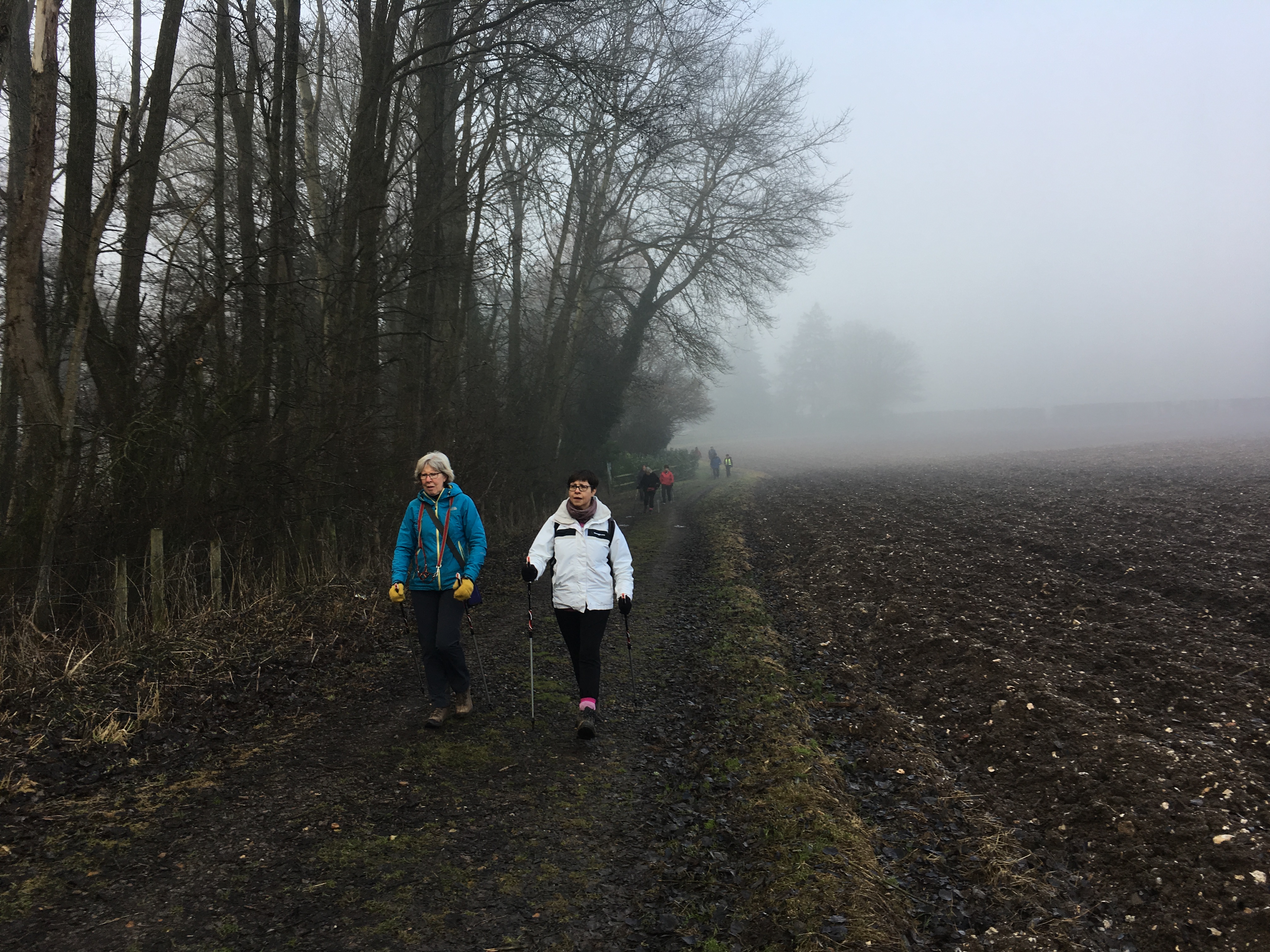 A FASTER PACED WALK (Gear 2 - 3) - Avington to Easton - 6 miles