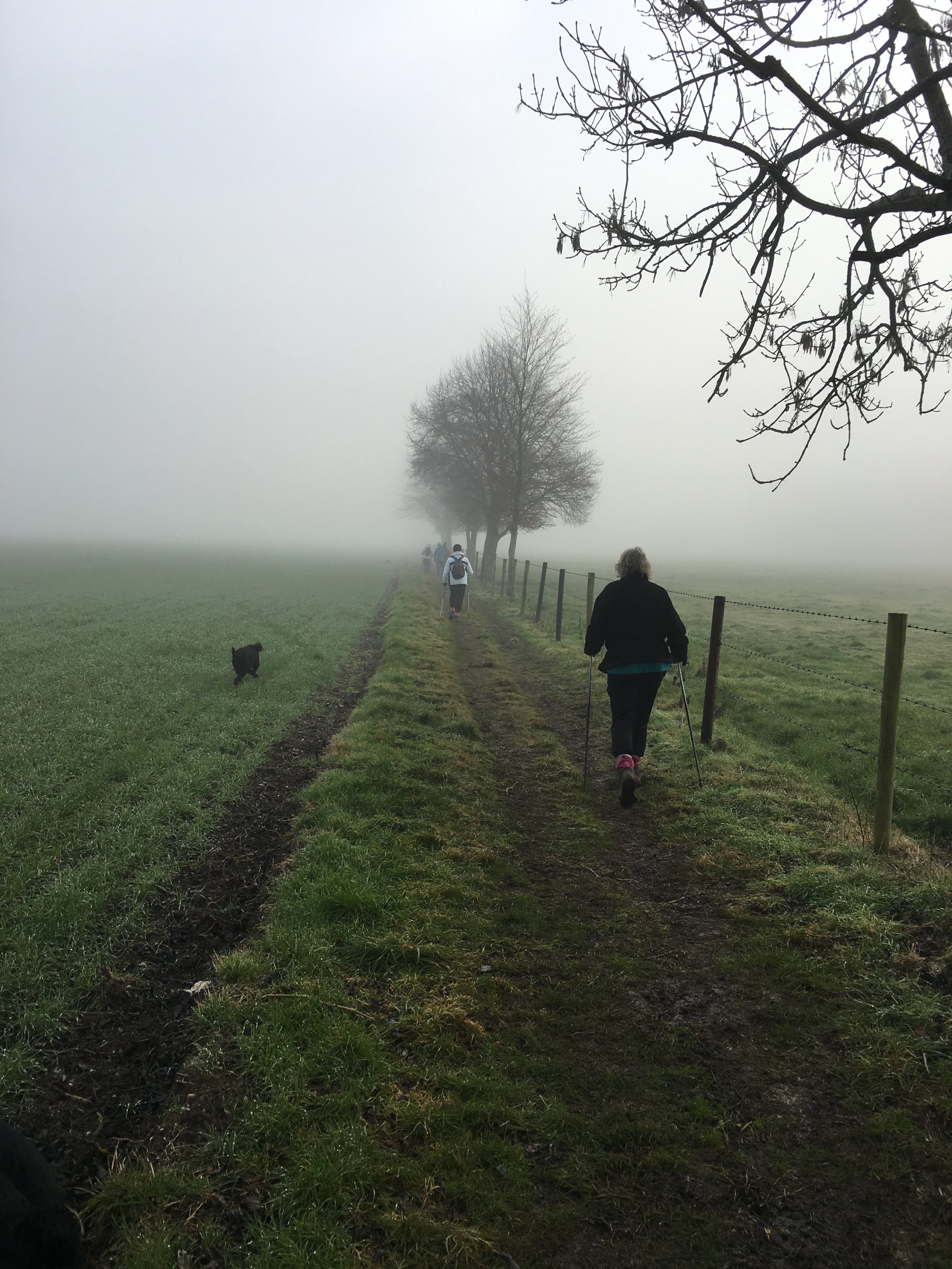 A FASTER PACED WALK (Gear 2 - 3) - Avington to Easton - 6 miles