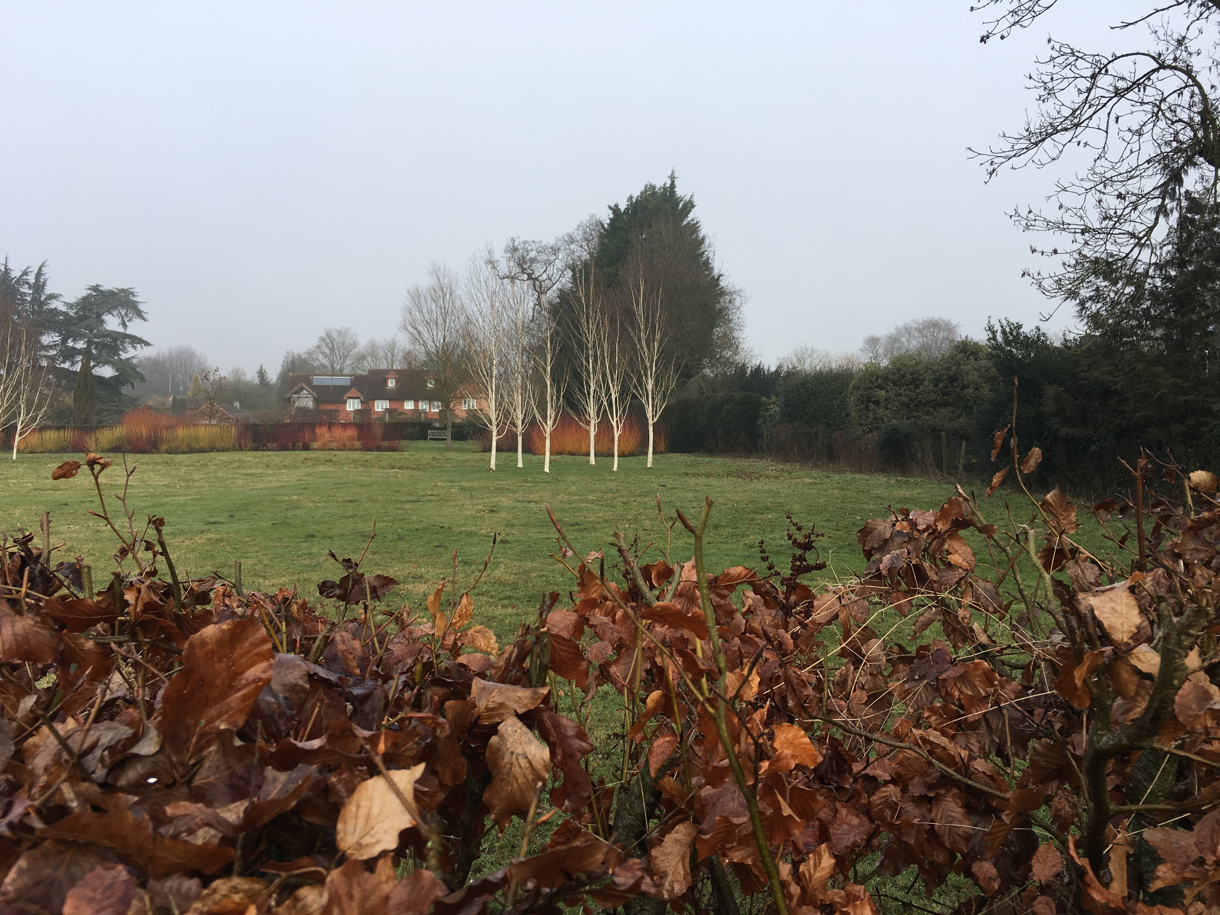 A FASTER PACED WALK (Gear 2 - 3) - Avington to Easton - 6 miles