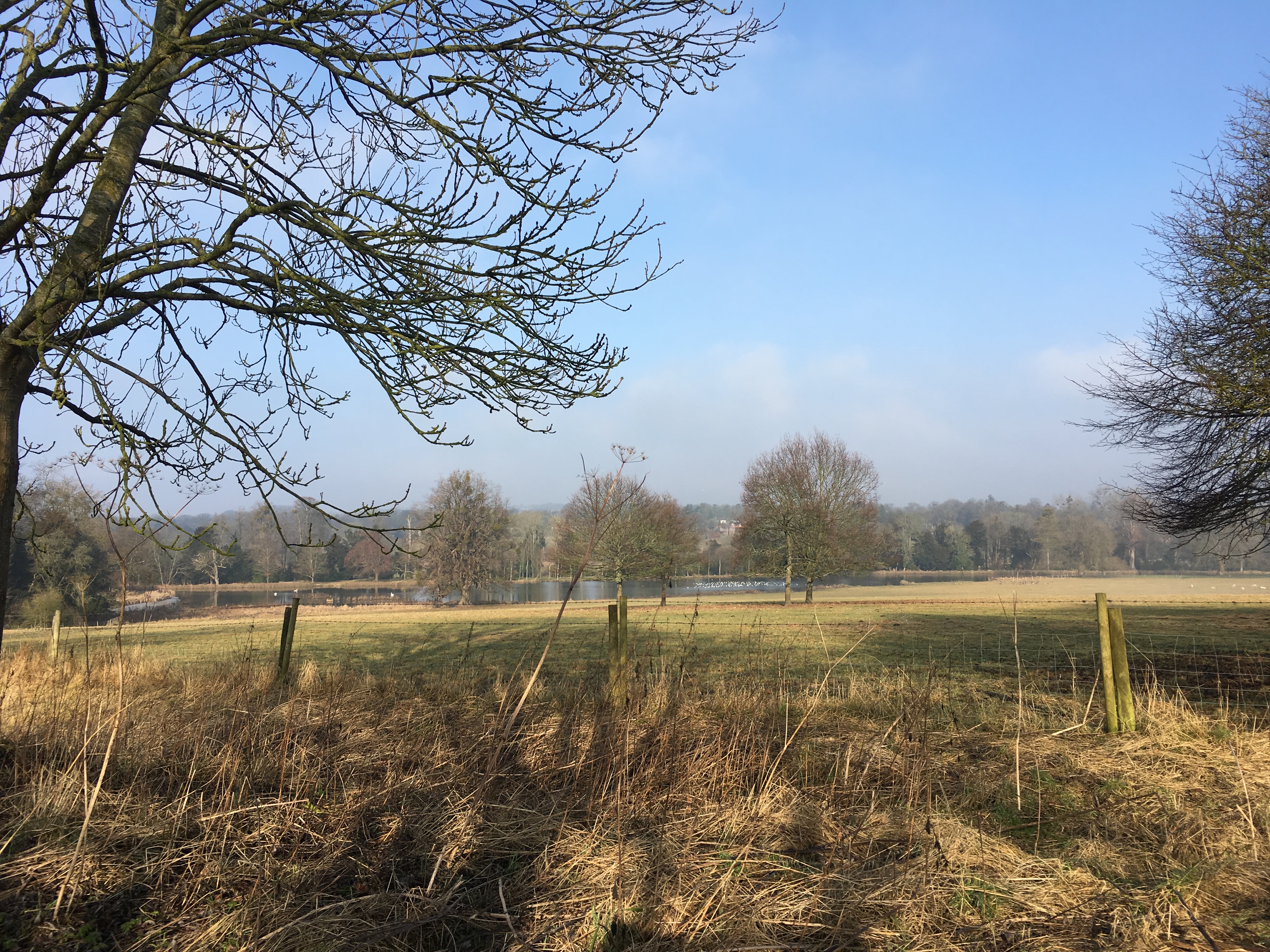 A FASTER PACED WALK (Gear 2 - 3) - Avington to Easton - 6 miles